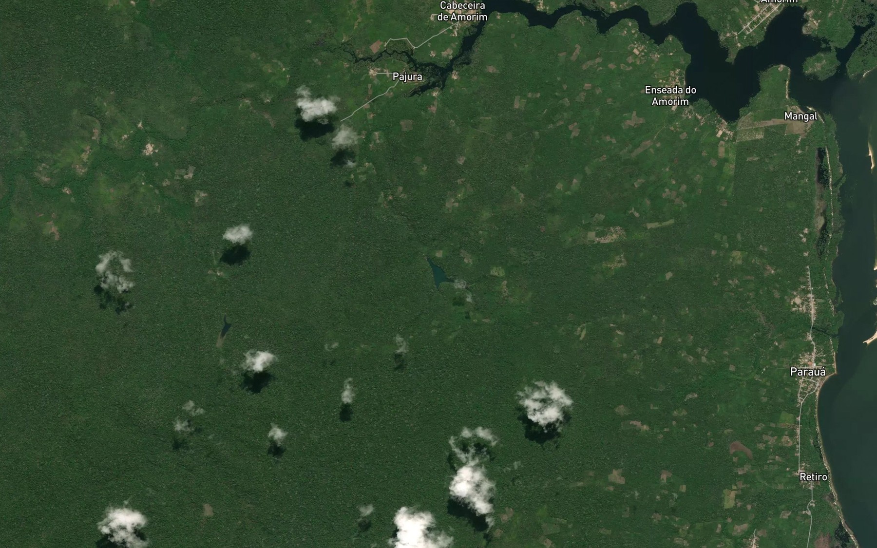 Satellite map of the Lago do Jacare
