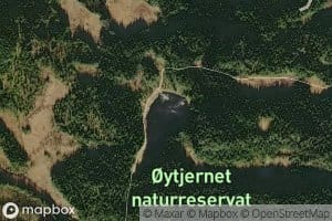 Koltjennet