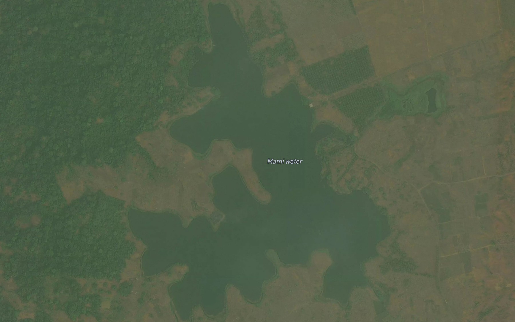 Satellite map of the Mami Water