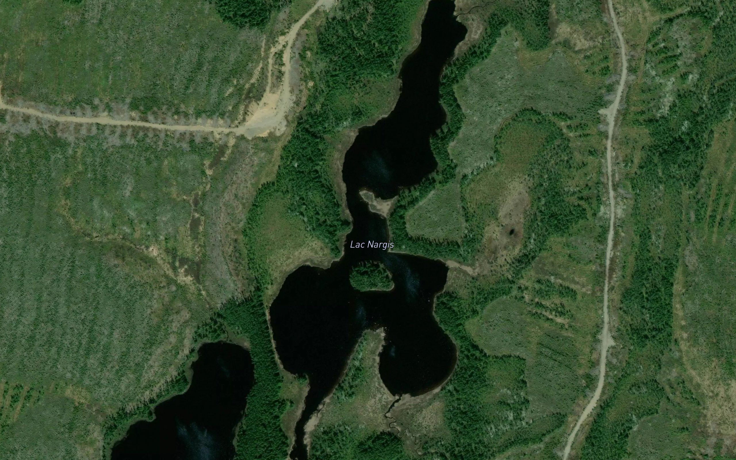 Lac Nargis