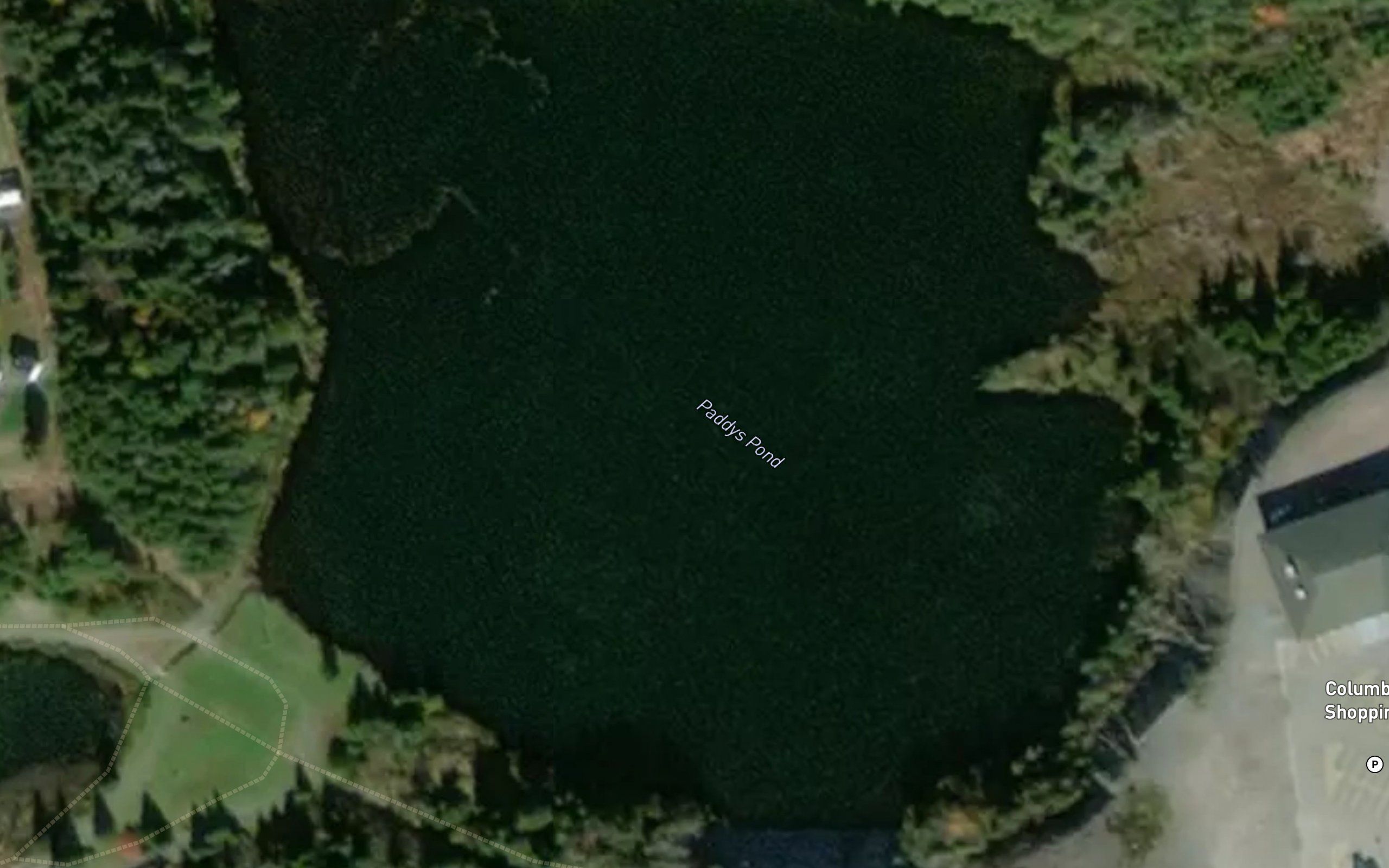 Paddys Pond