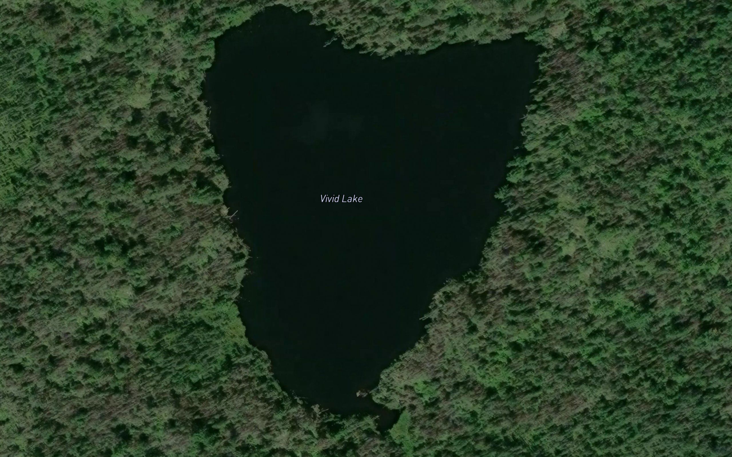 Vivid Lake