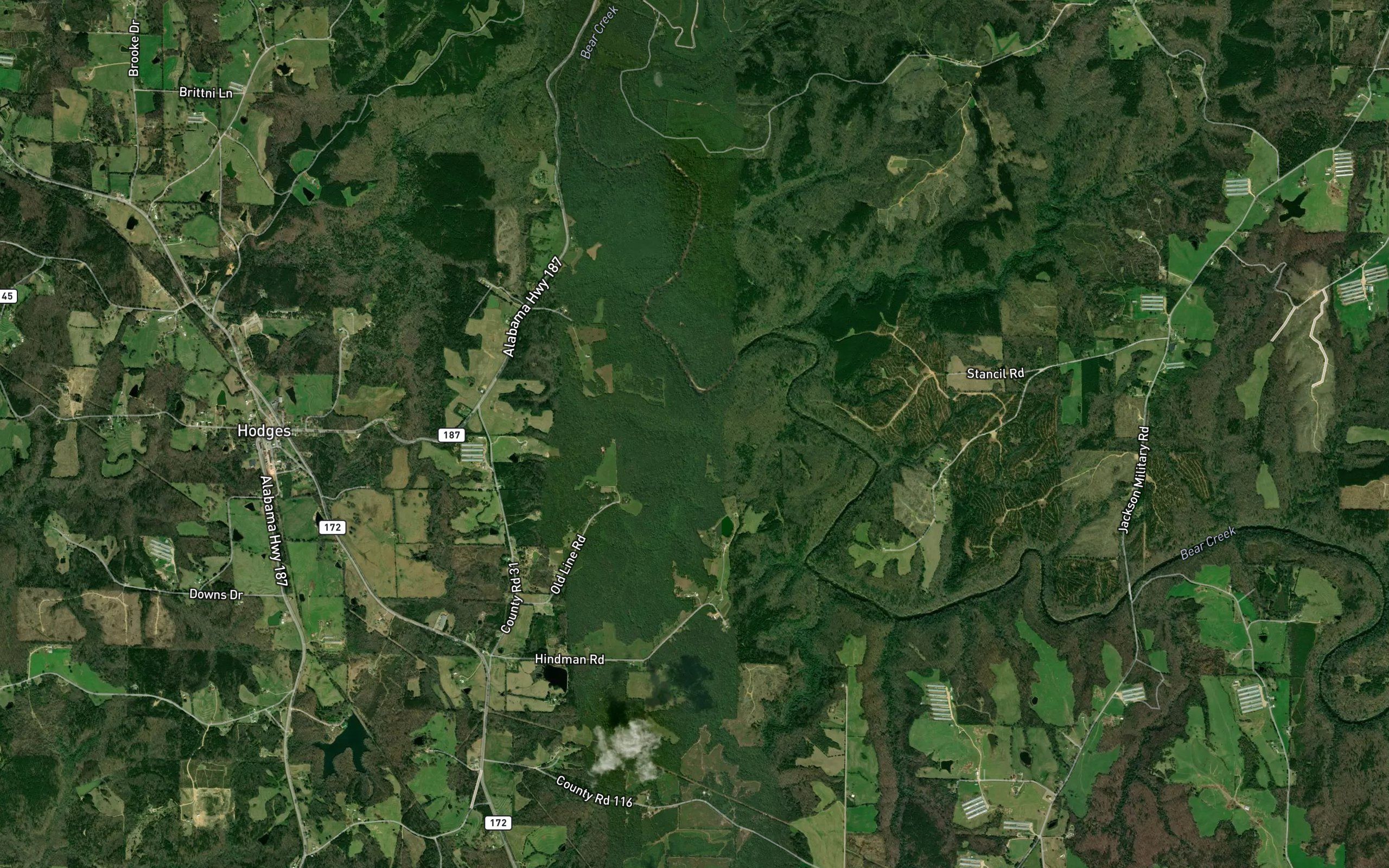 Bailey Branch