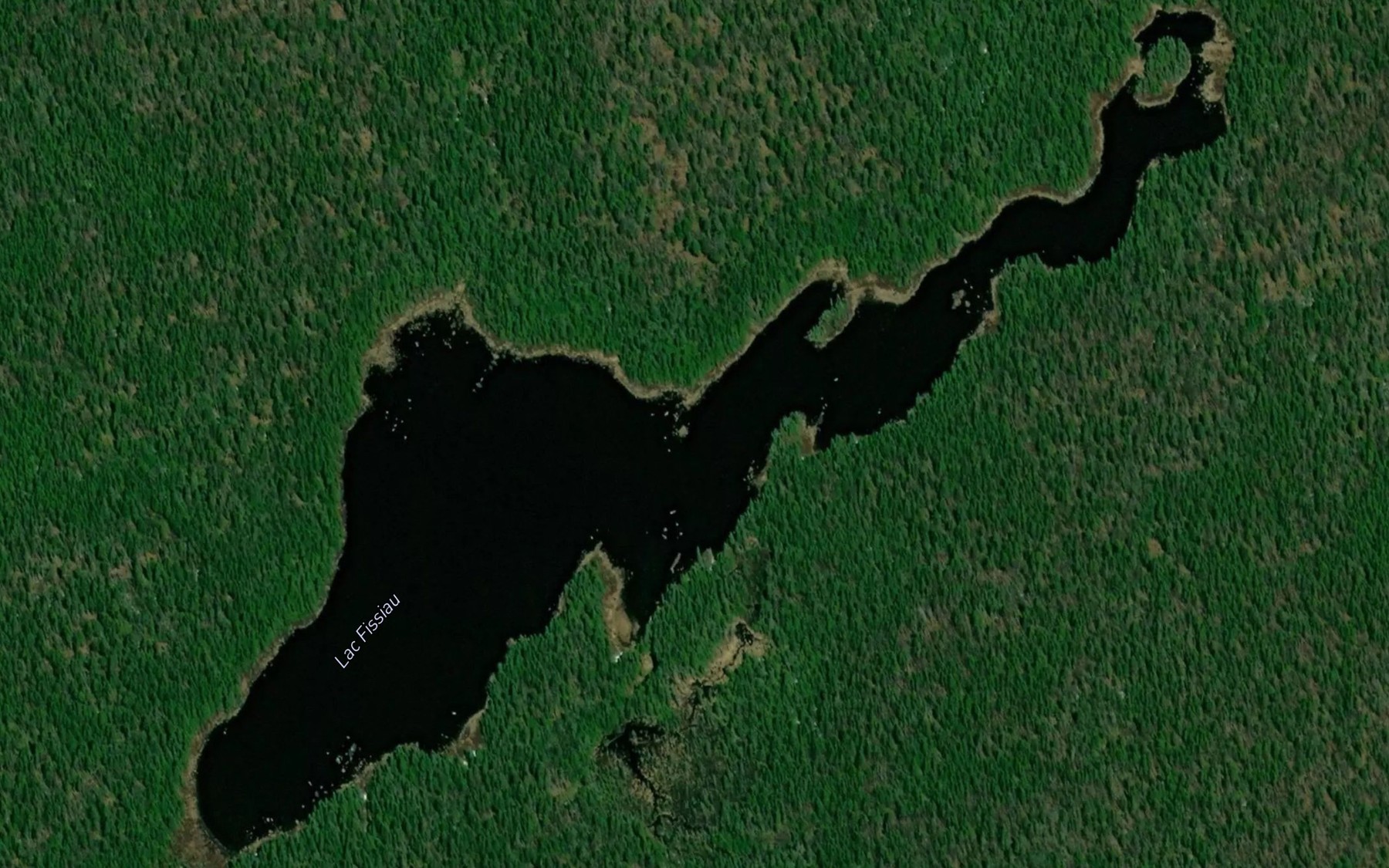 Satellite map of the Lac Fissiau