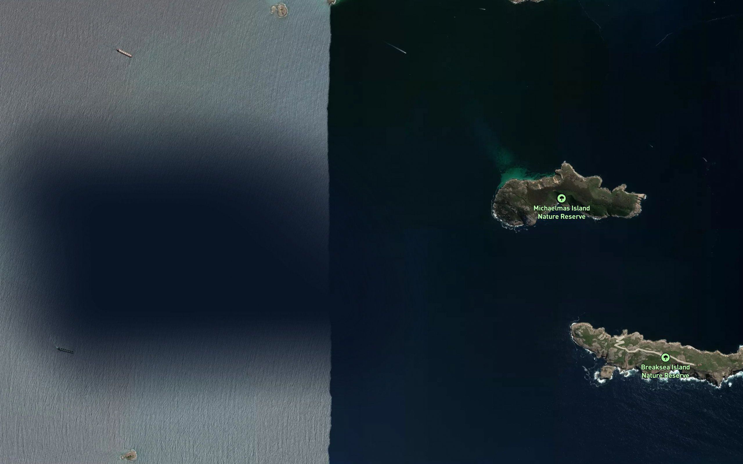 Michaelmas Reef