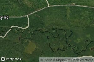 Little Gilbert Brook