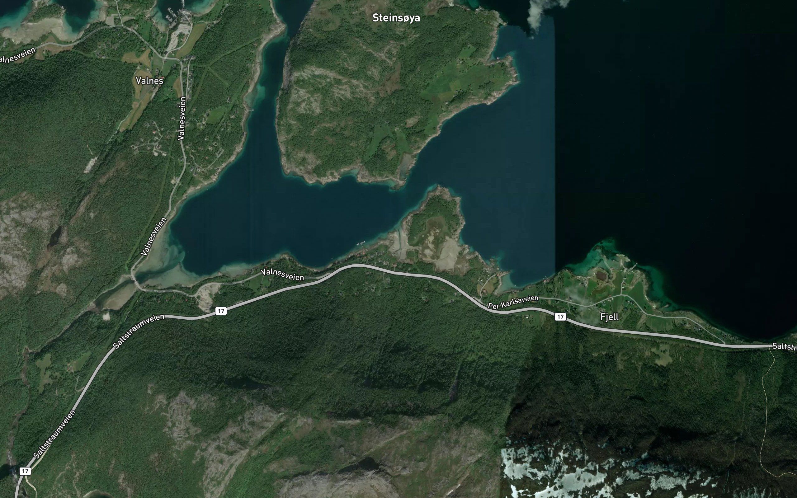 Seljedalsosen