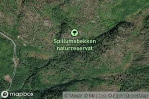 Spillumsbekken