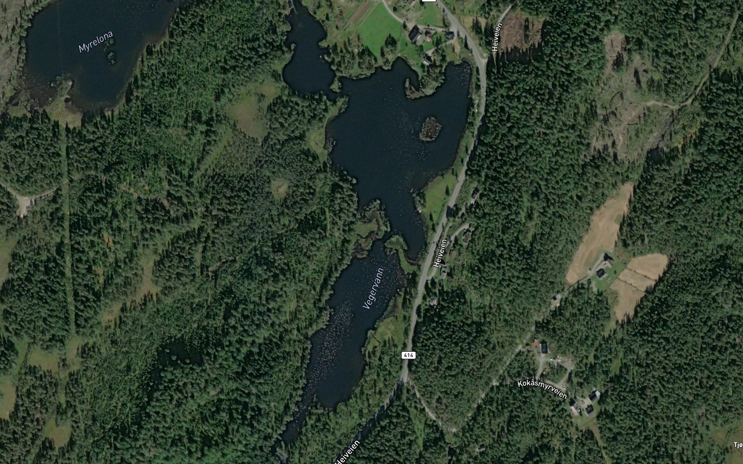Vegervann