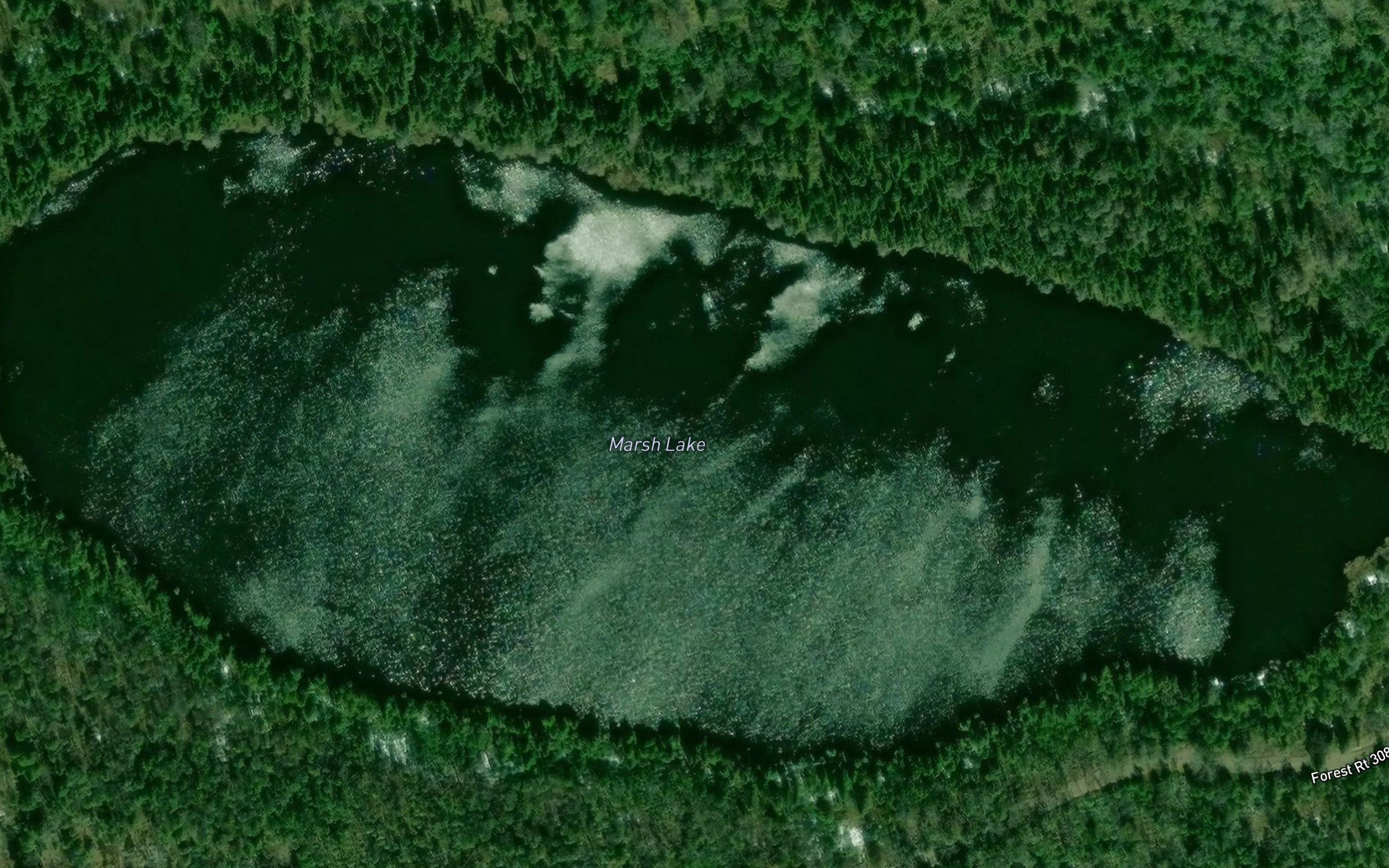 Marsh Lake