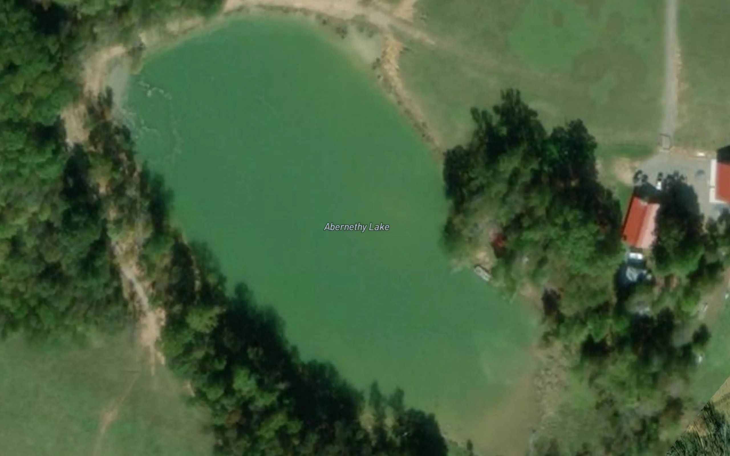 Abernethy Lake