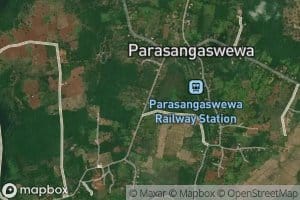 Parasangaha Wewa