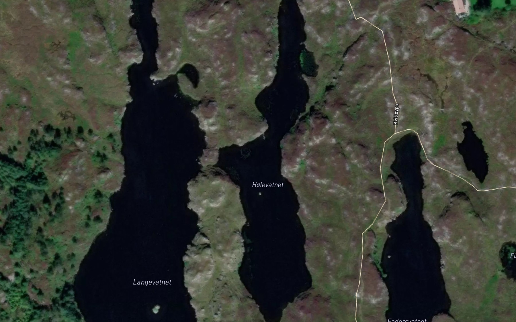 Satellite map of the Holevatnet