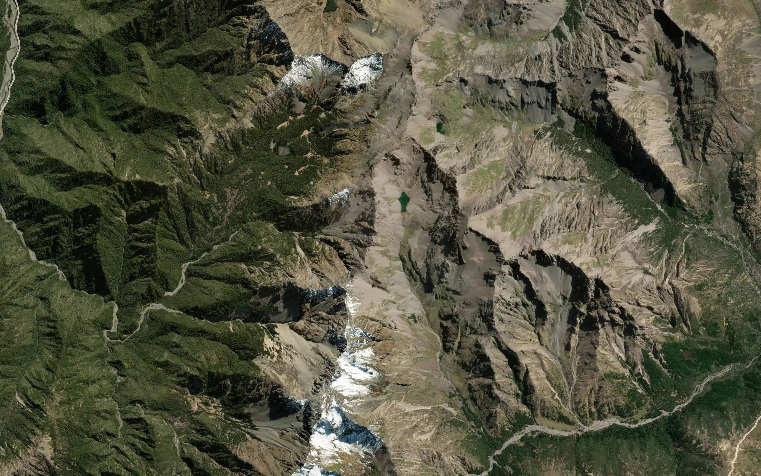 Cow Stream