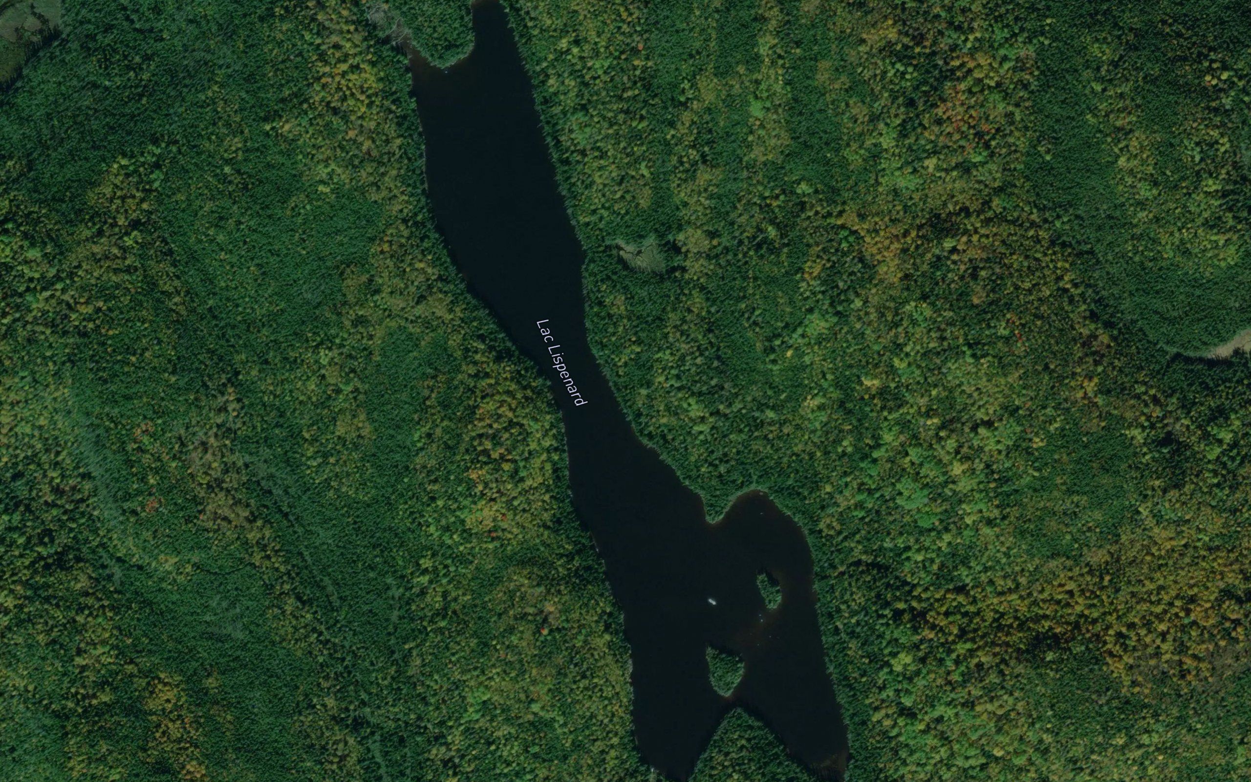 Lac Lispenard