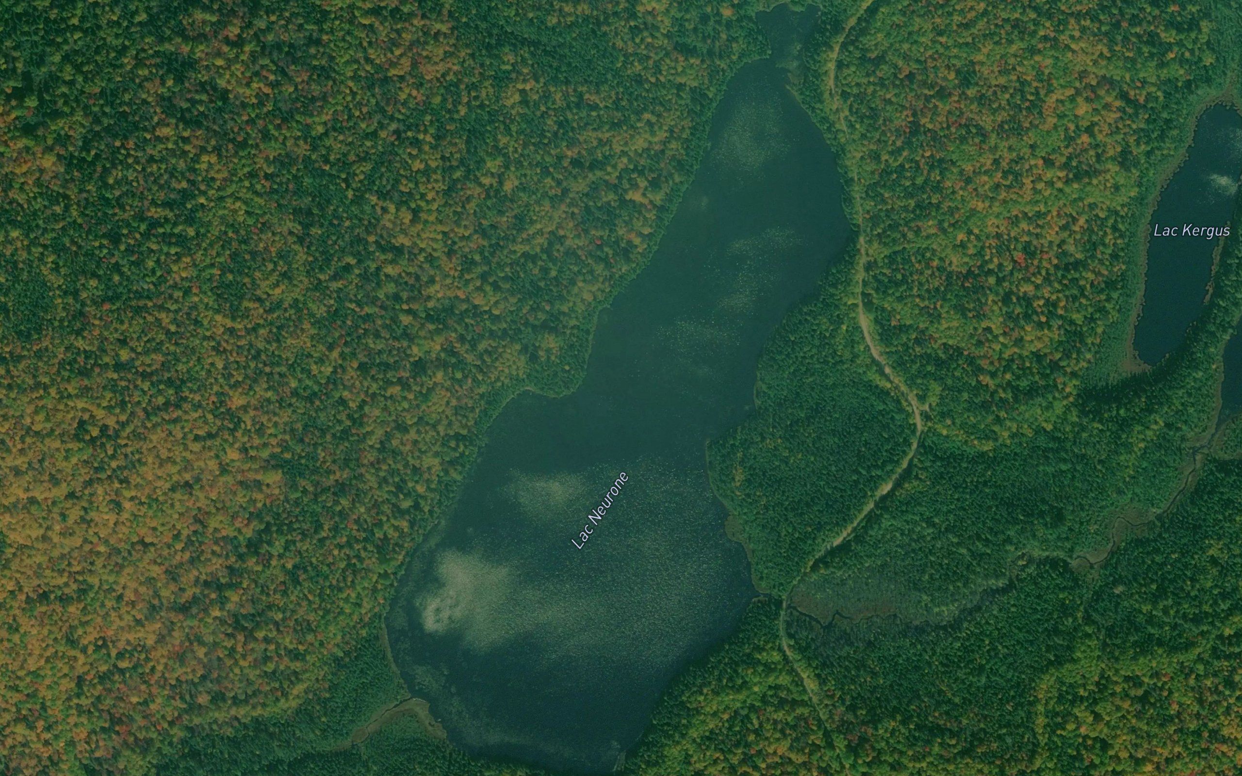 Lac Neurone