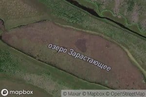 Ozero Zarastayushcheye