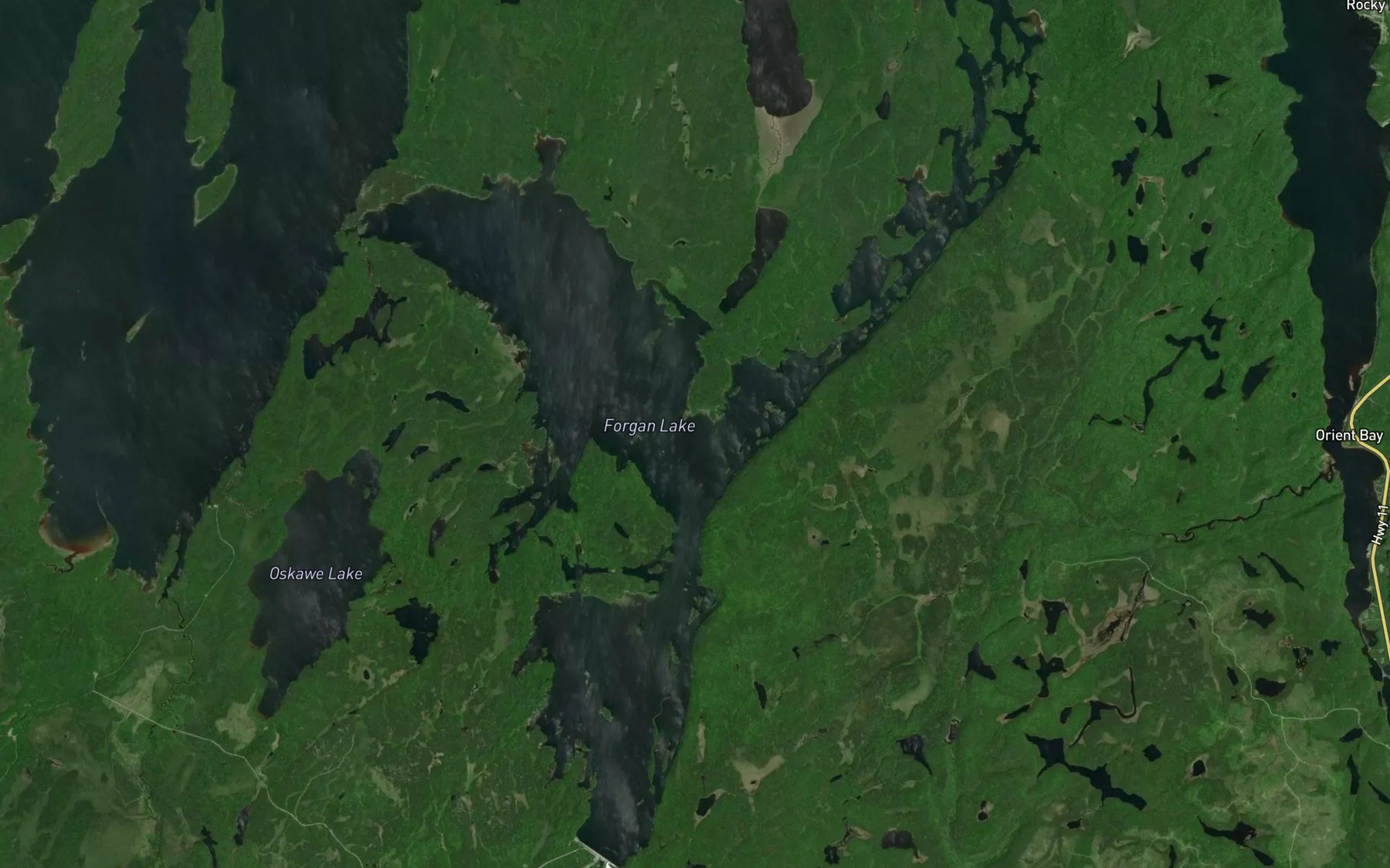 Satellite map of the Forgan Lake