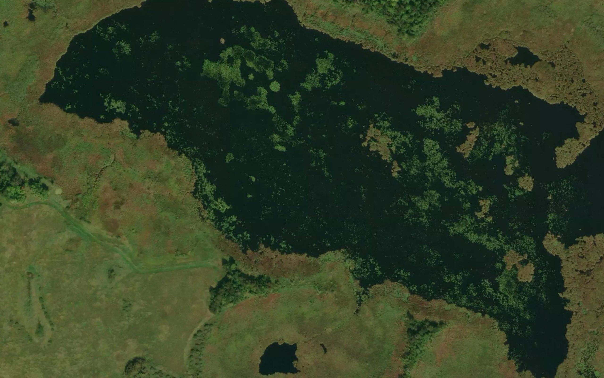 Mud Lake