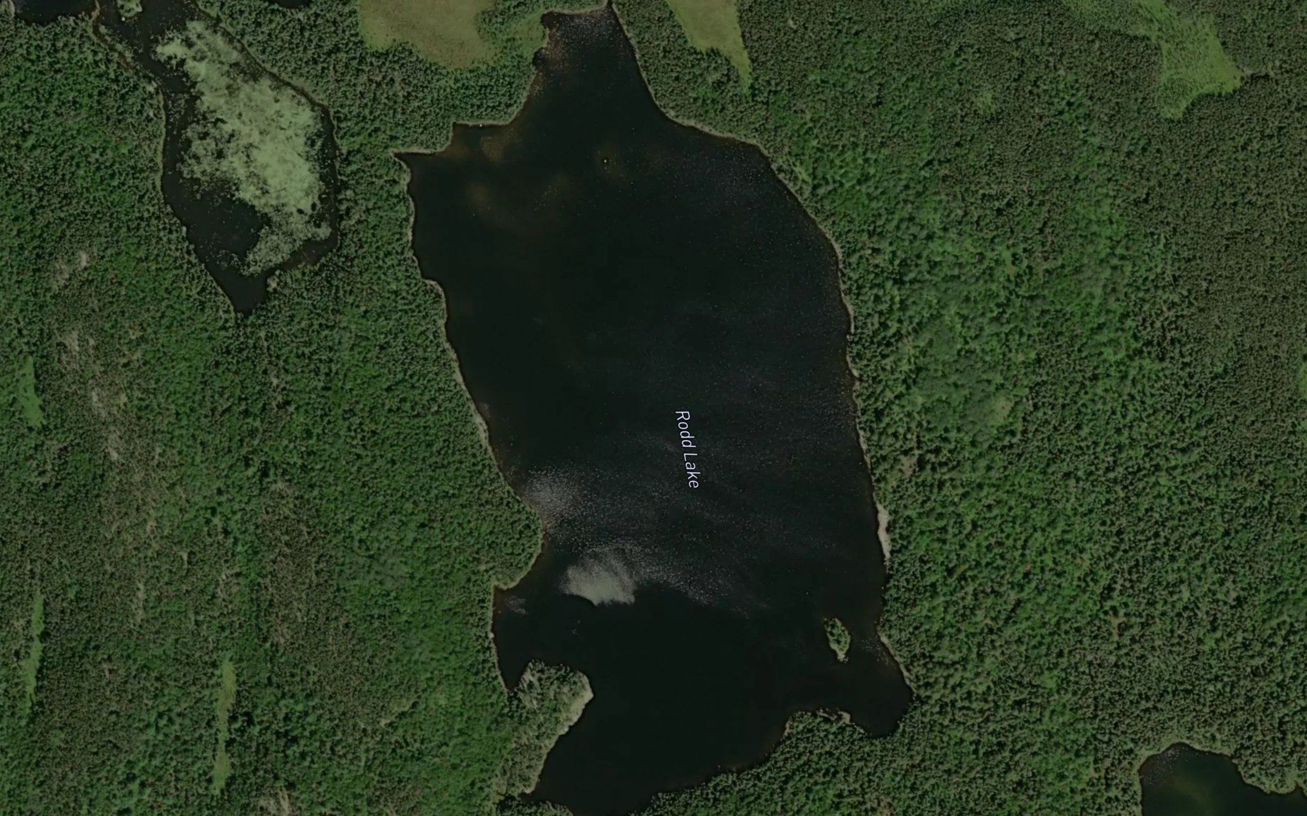 Rodd Lake