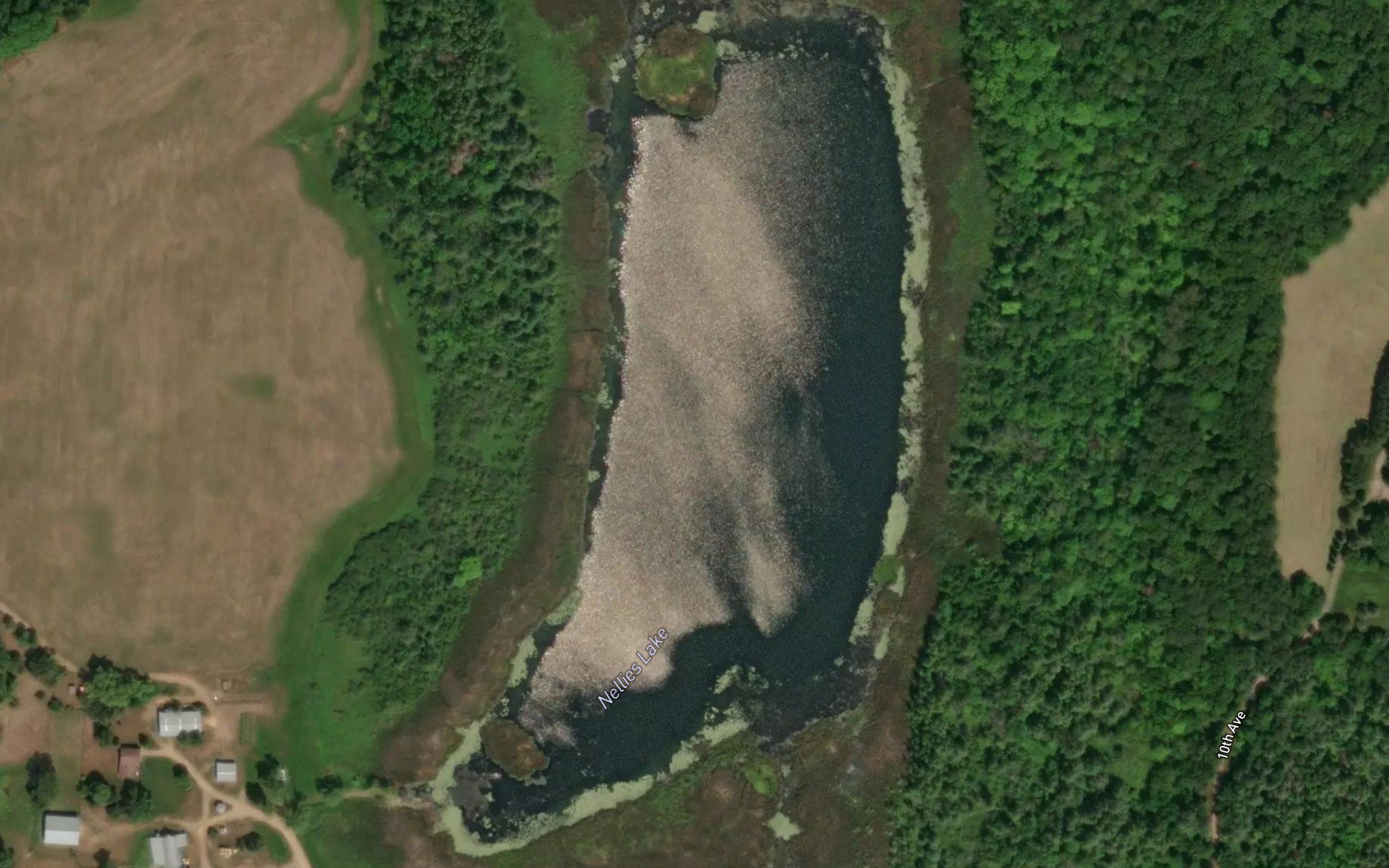Nellies Lake