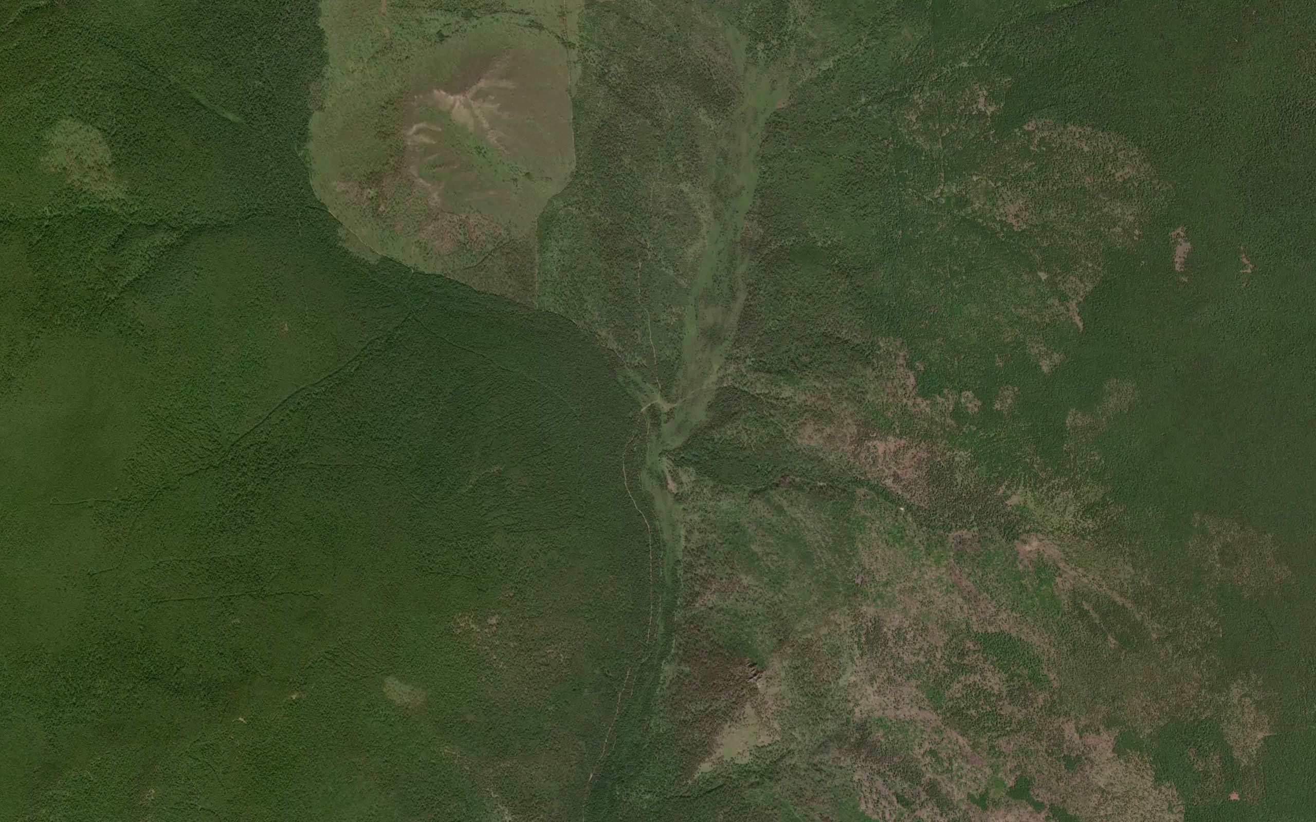Isayeva