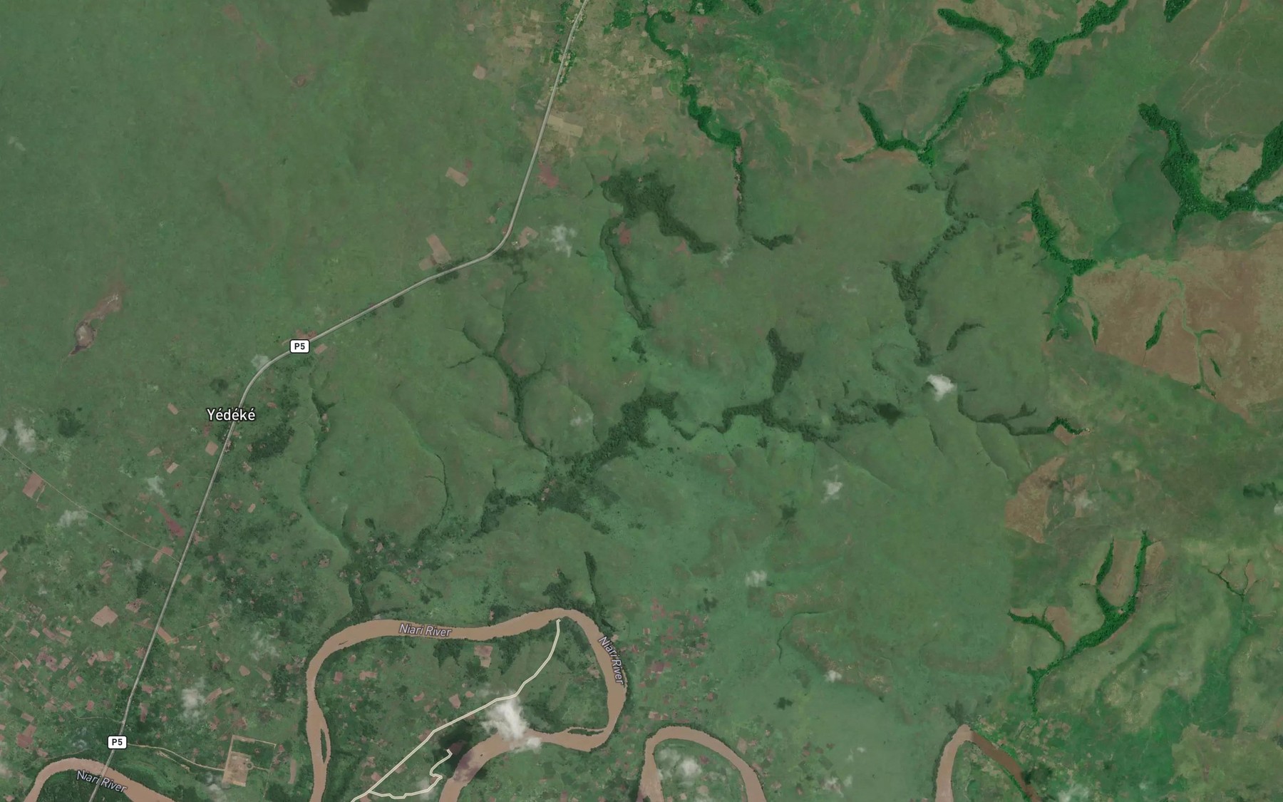 Satellite map of the Ngouele
