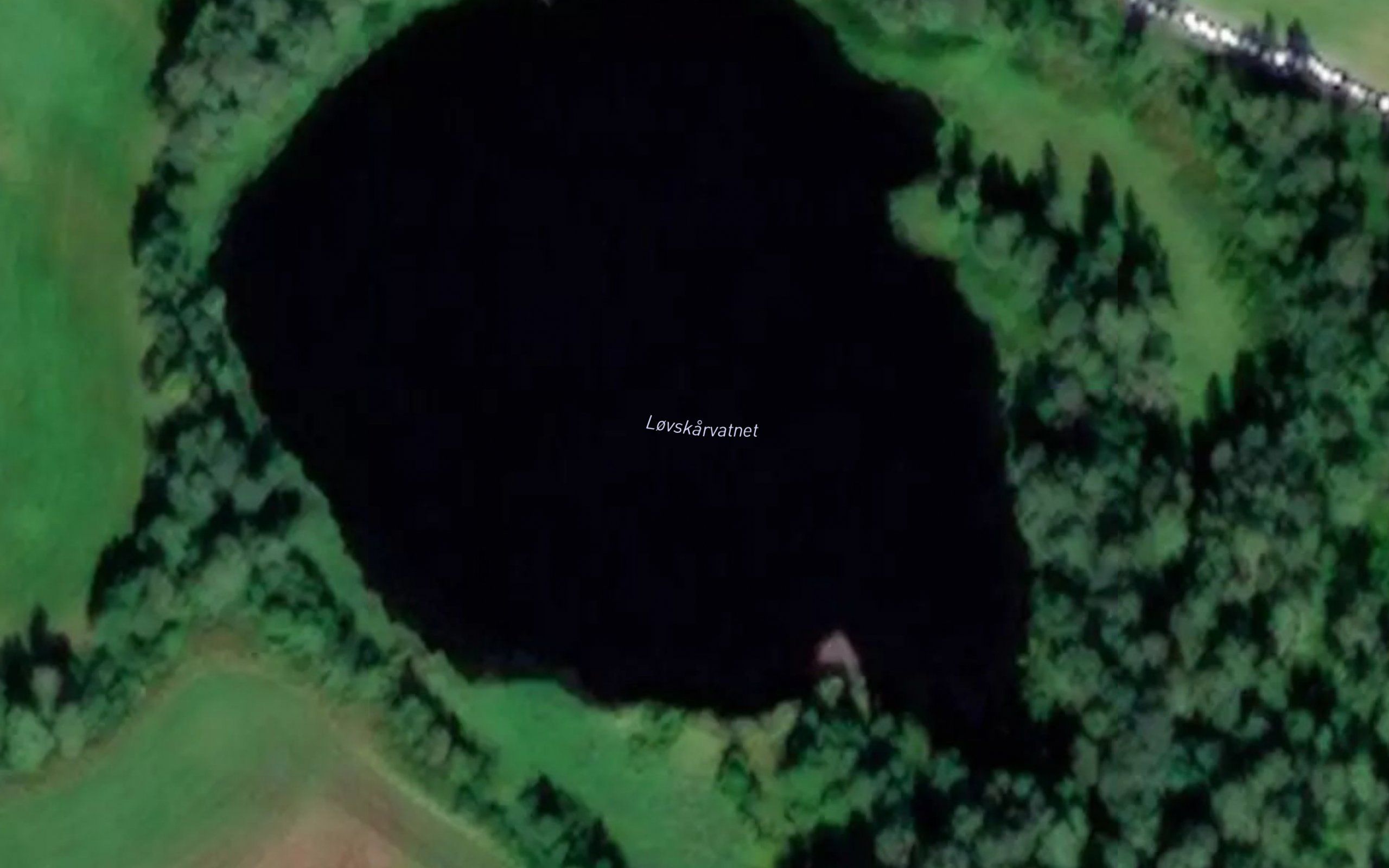Loskalvatnet