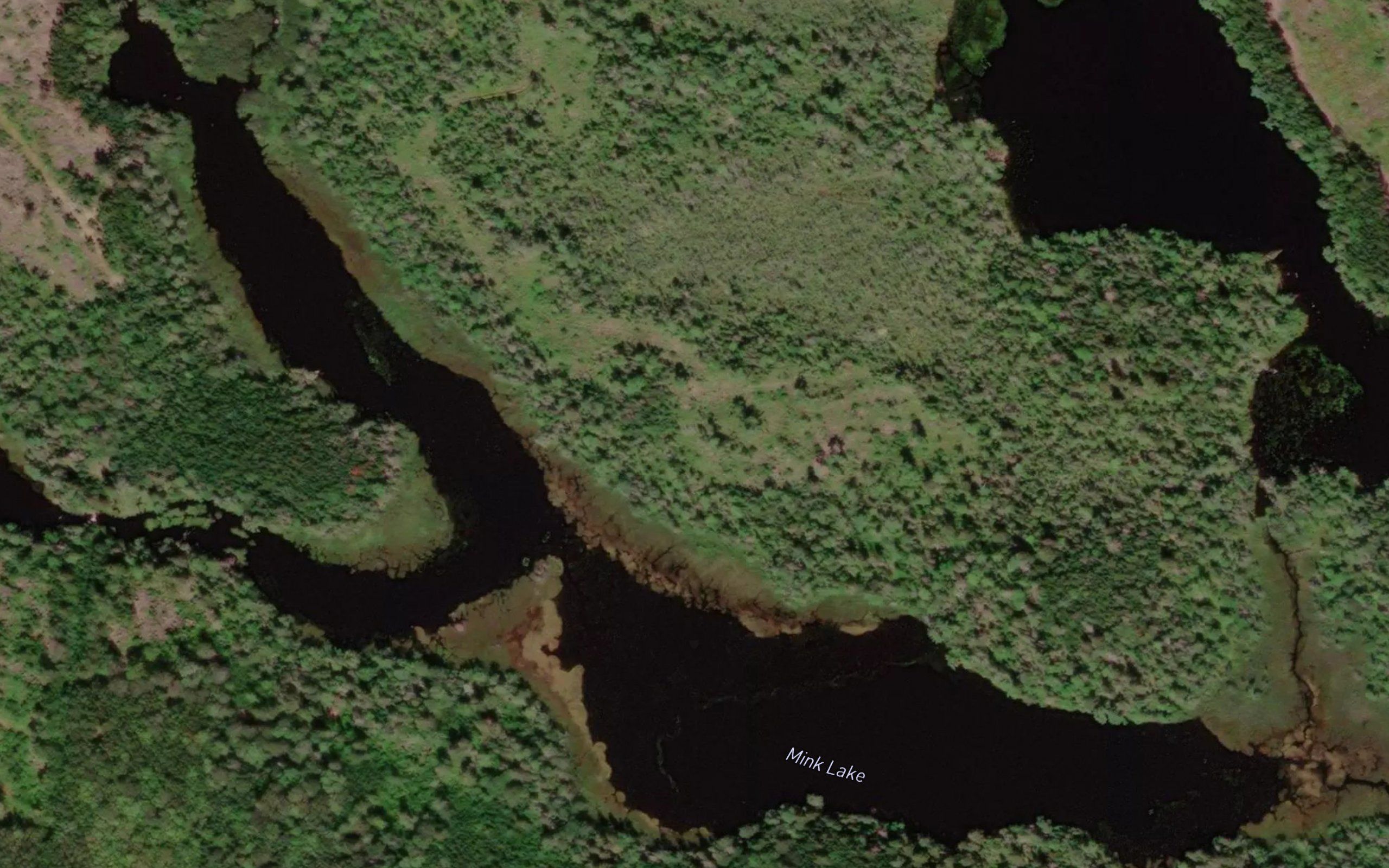 Mink Lake