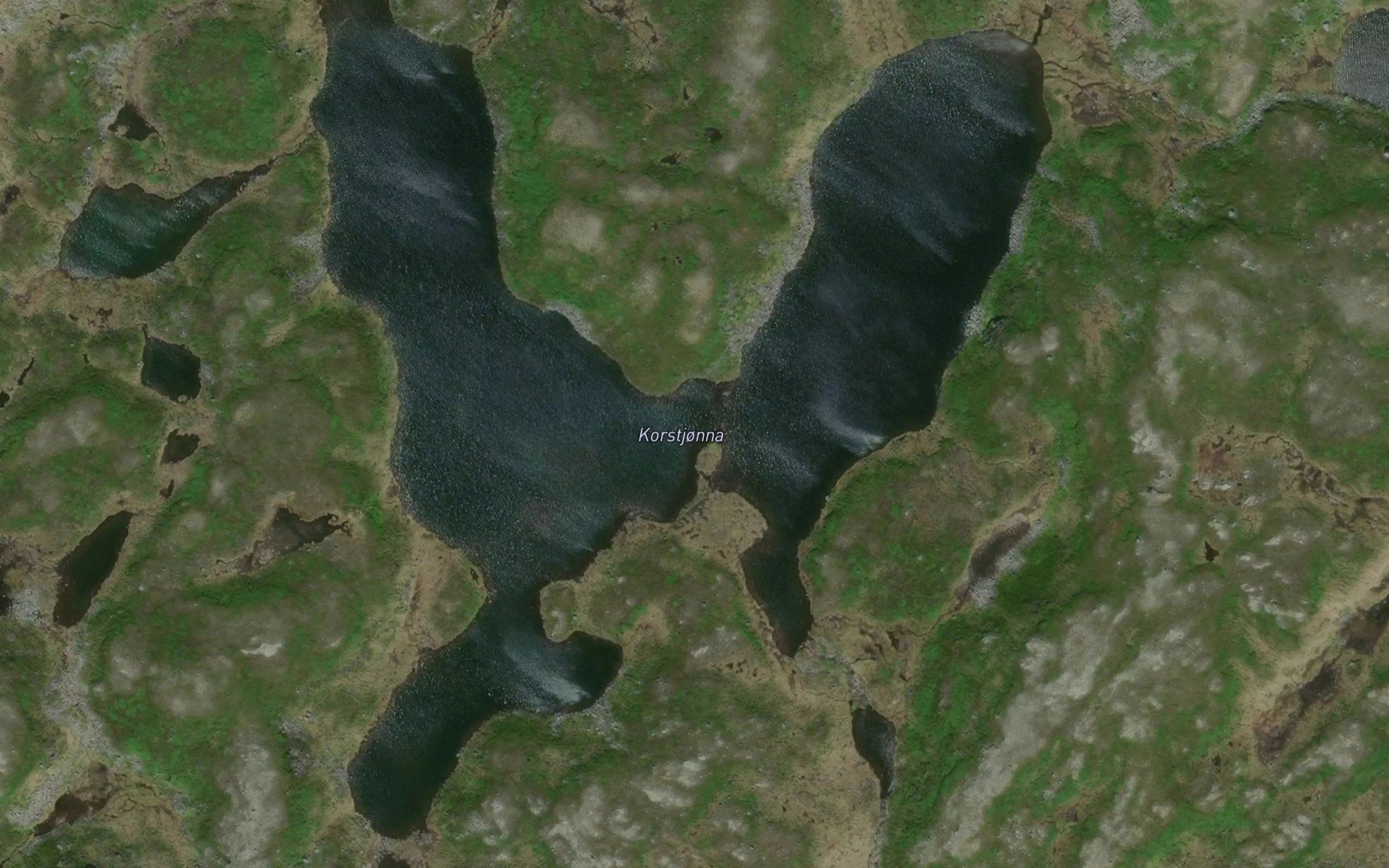 Korstjorna