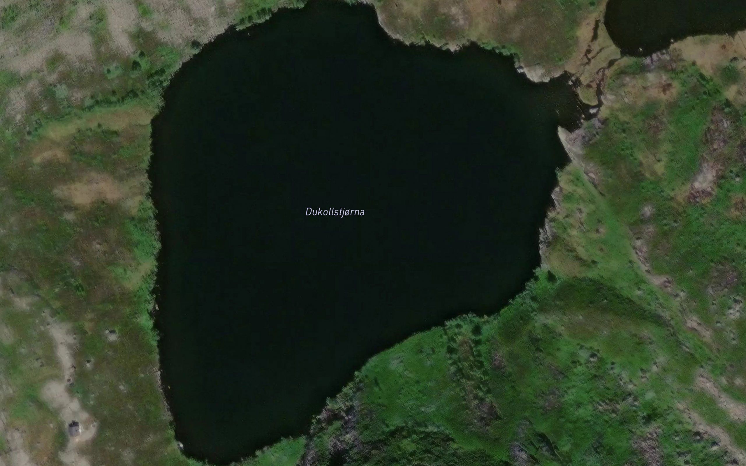Dukollstjorna