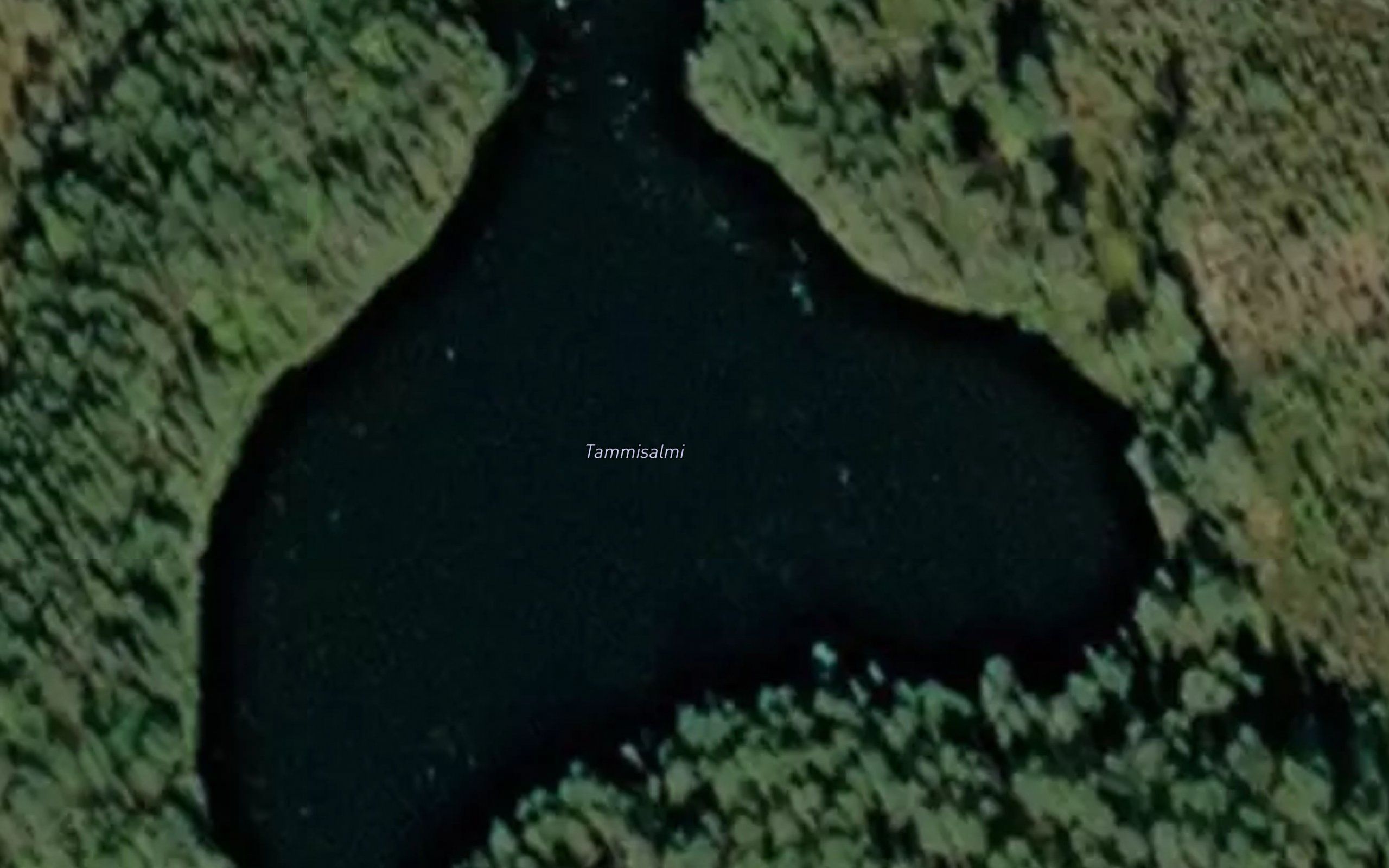 Tammisalmi