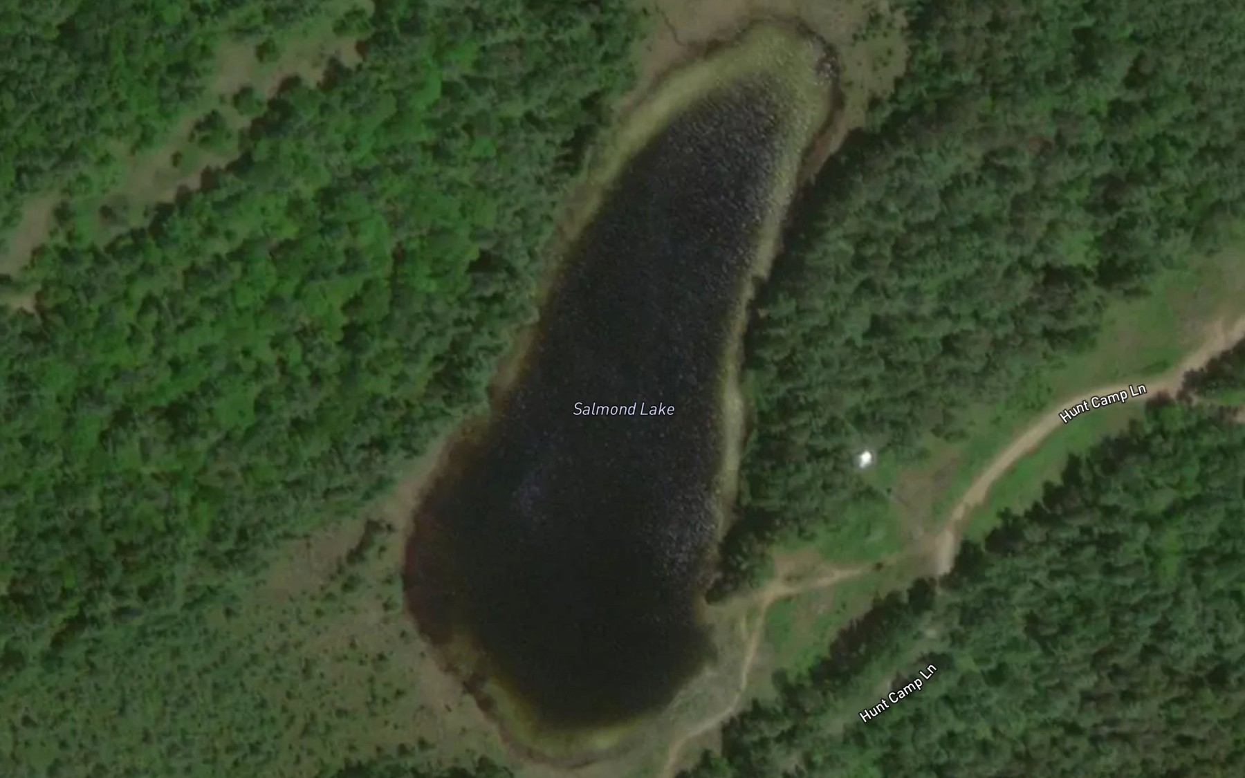 Satellite map of the Salmond Lake