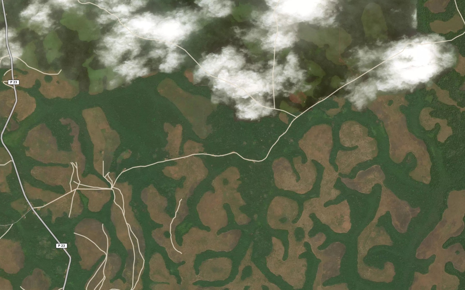Satellite map of the Mono