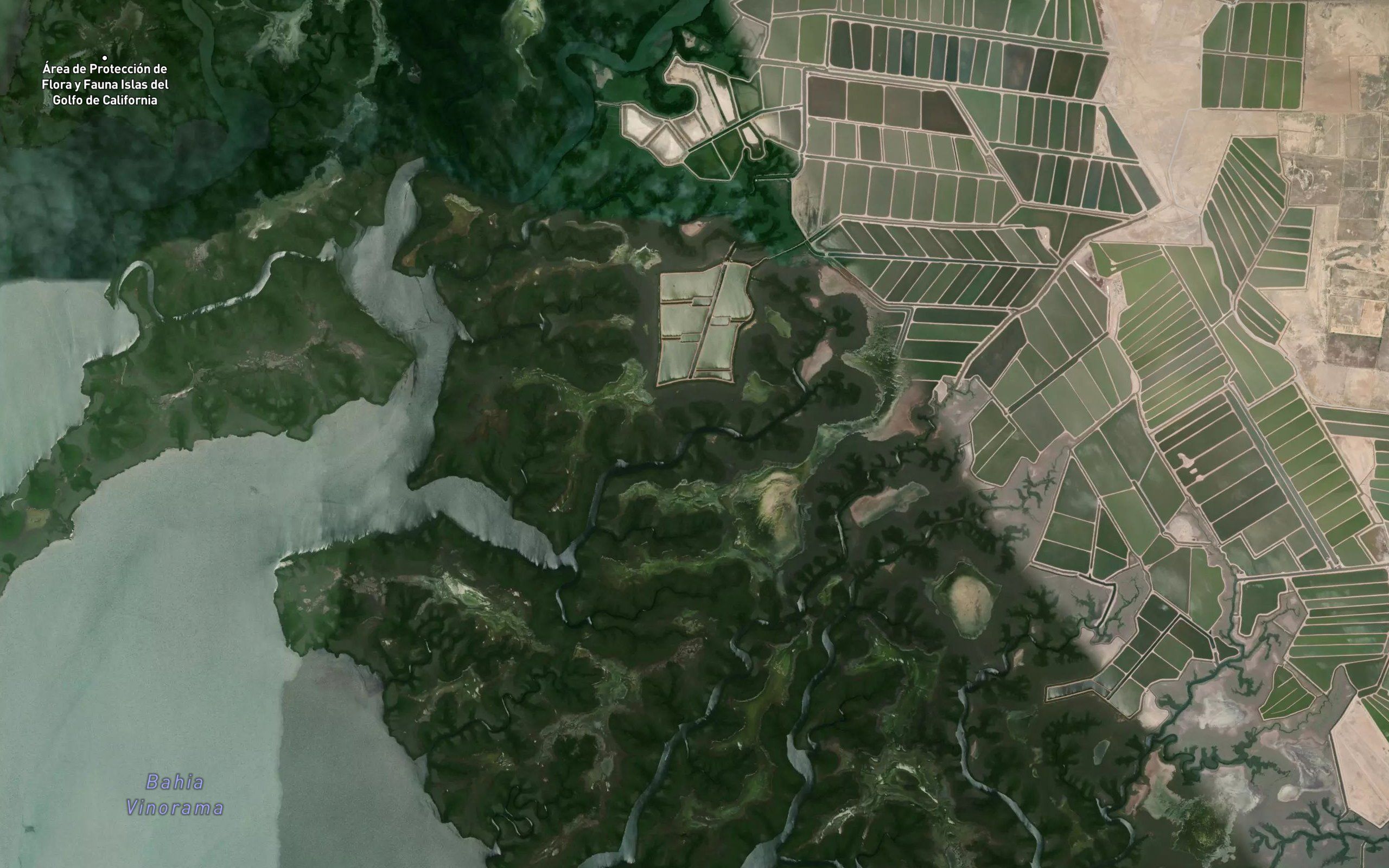 Estero la Laguna