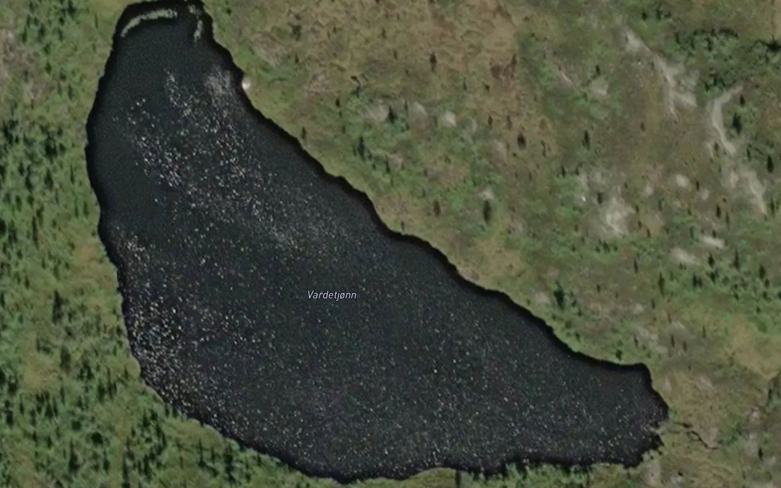 Vardetjorni