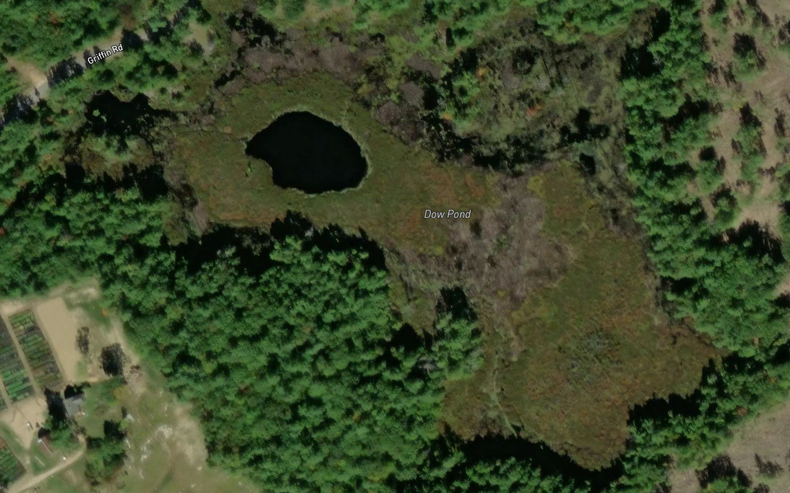 Dow Pond
