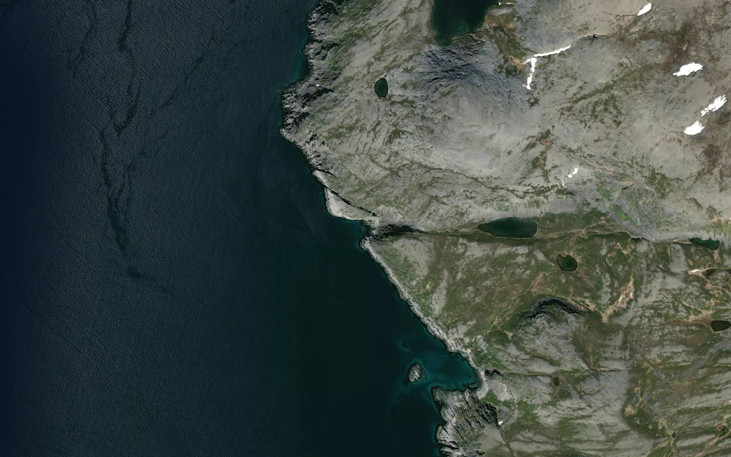 Grytvika