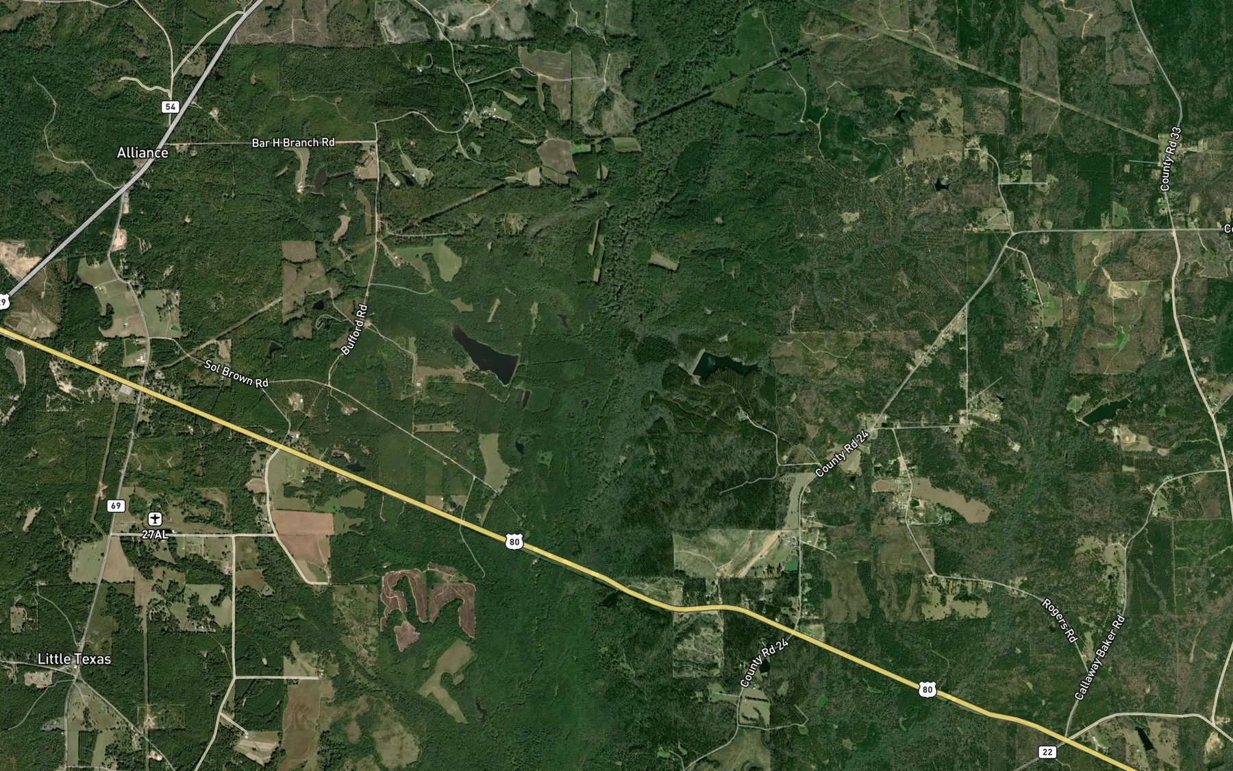 Satellite map of the Big Branch