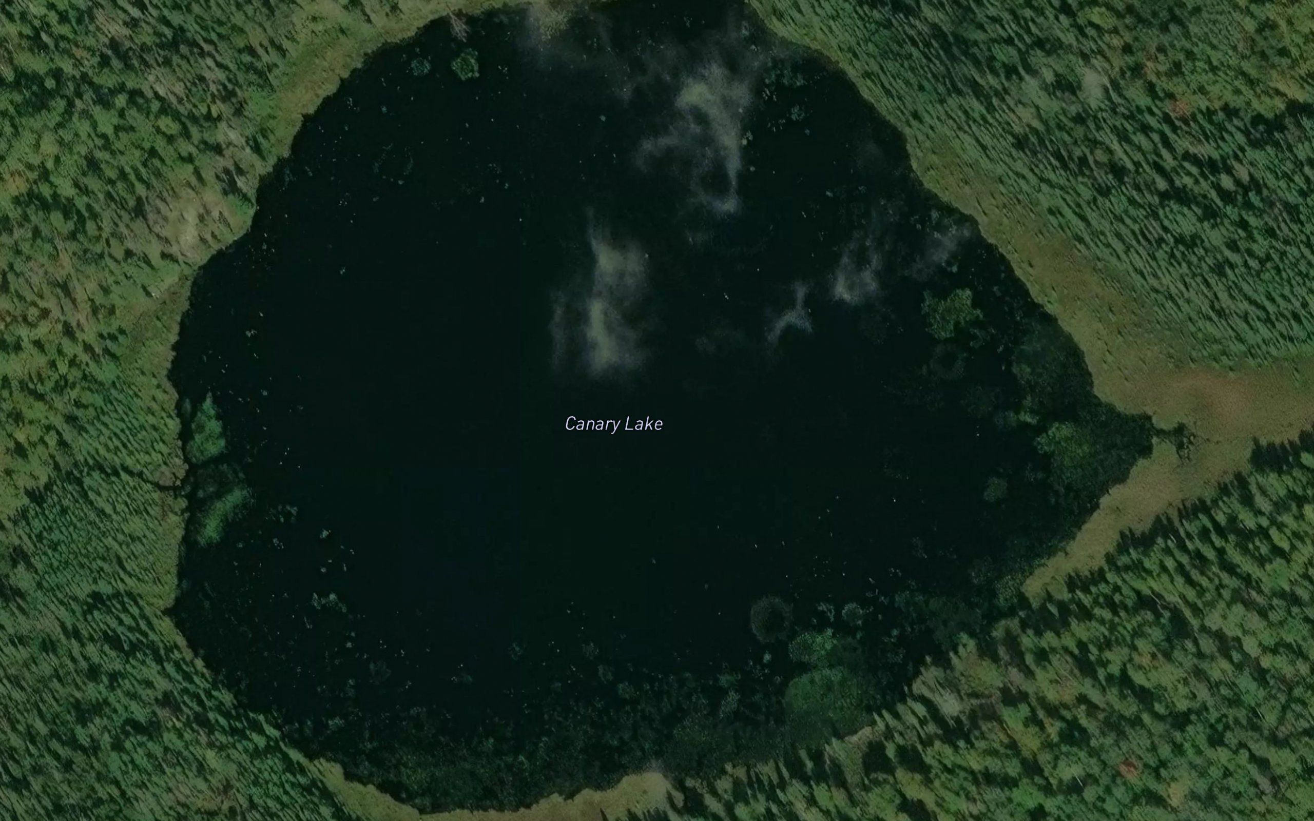 Canary Lake