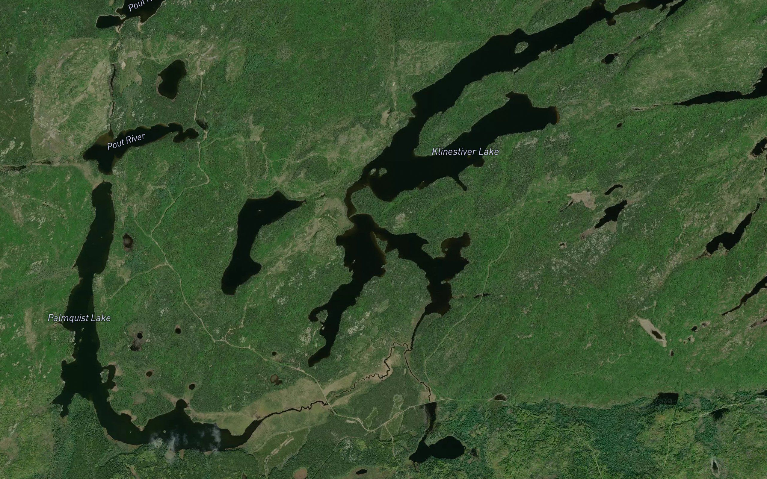 Polyanthus Lake