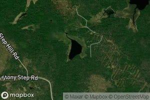 Stonystep Pond