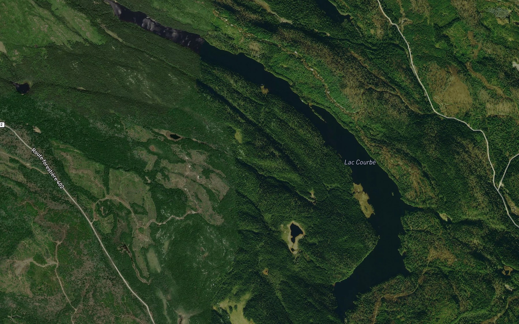 Satellite map of the Lac Courbe