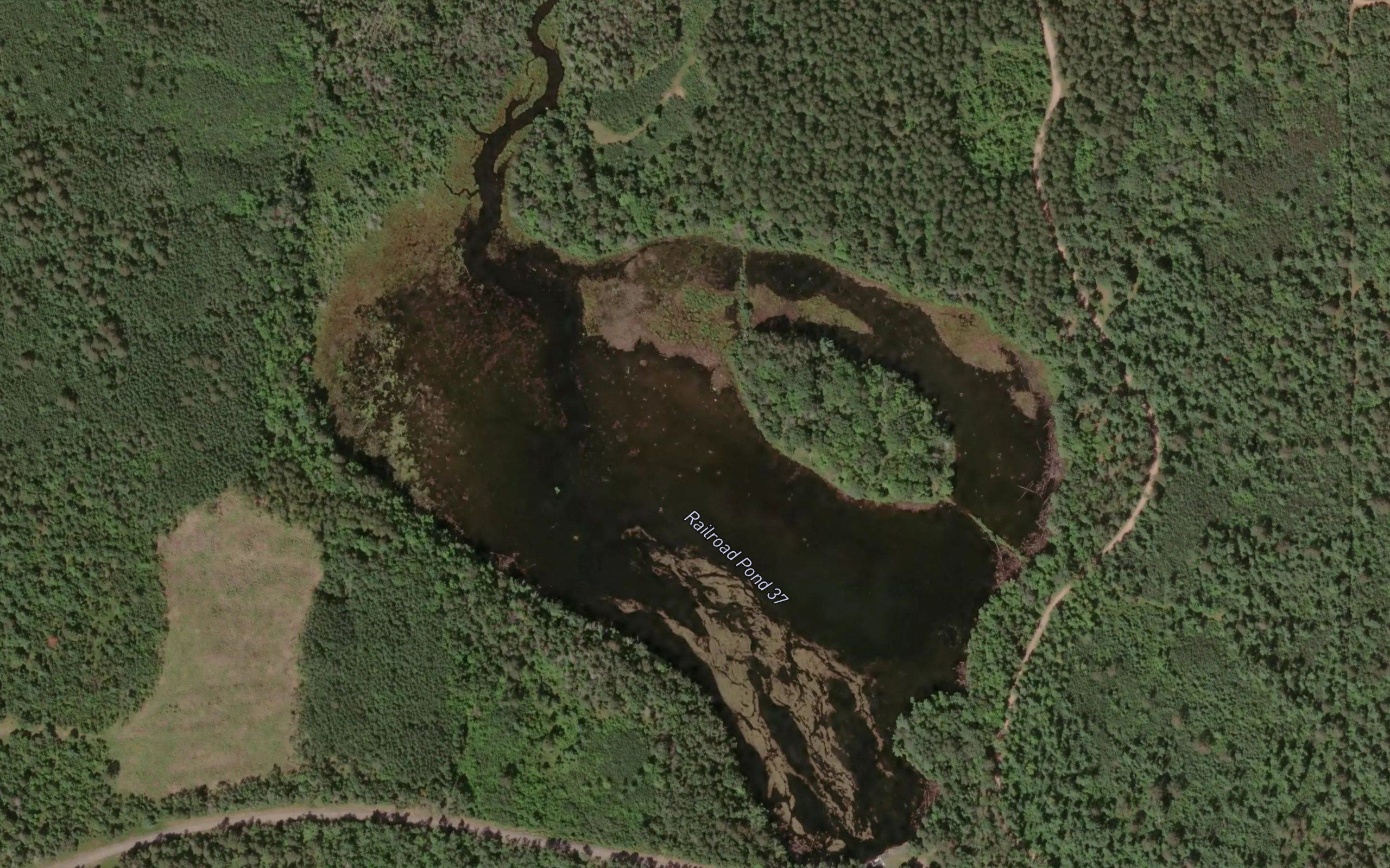 Railroad Pond 37