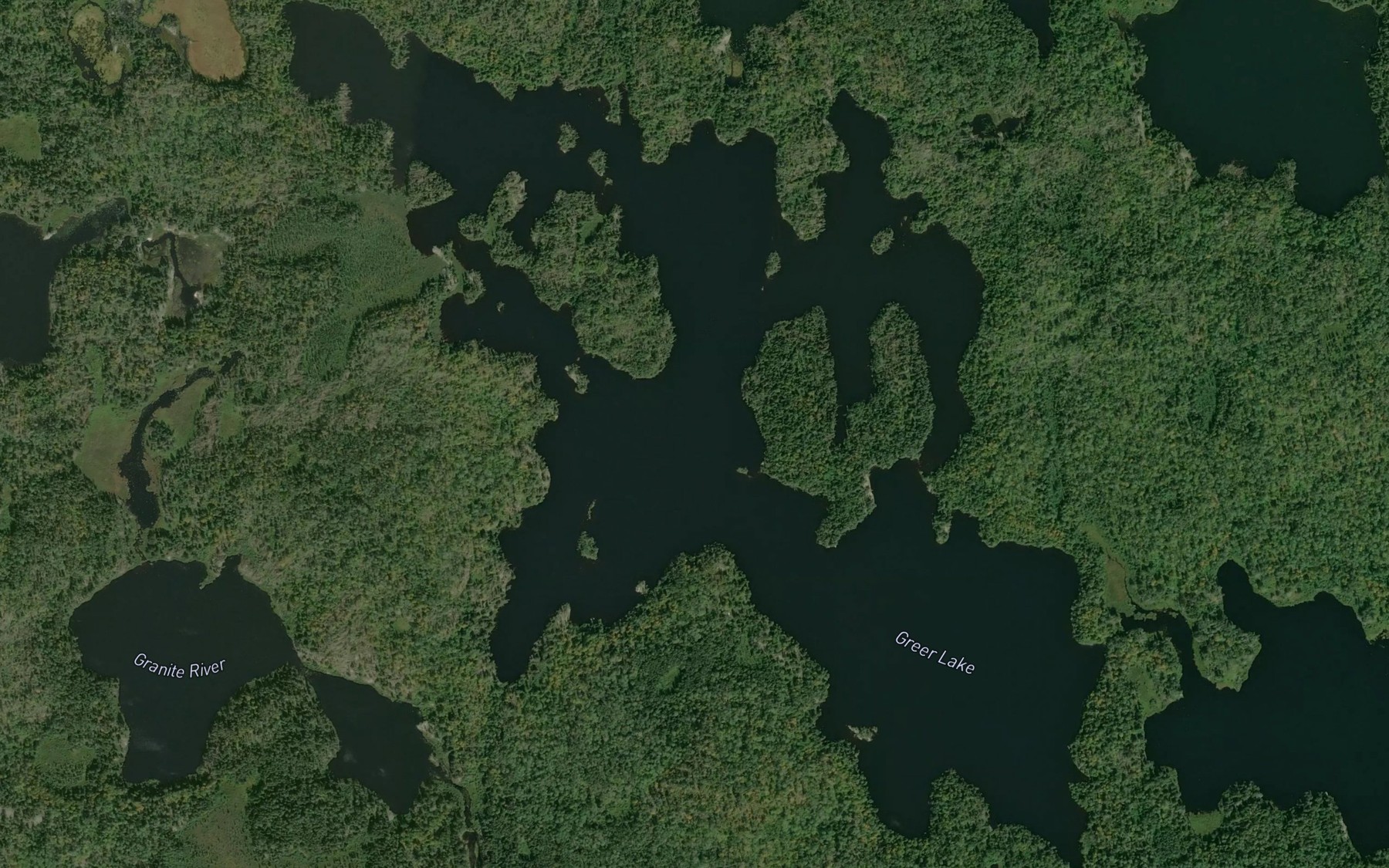Satellite map of the Greer Lake