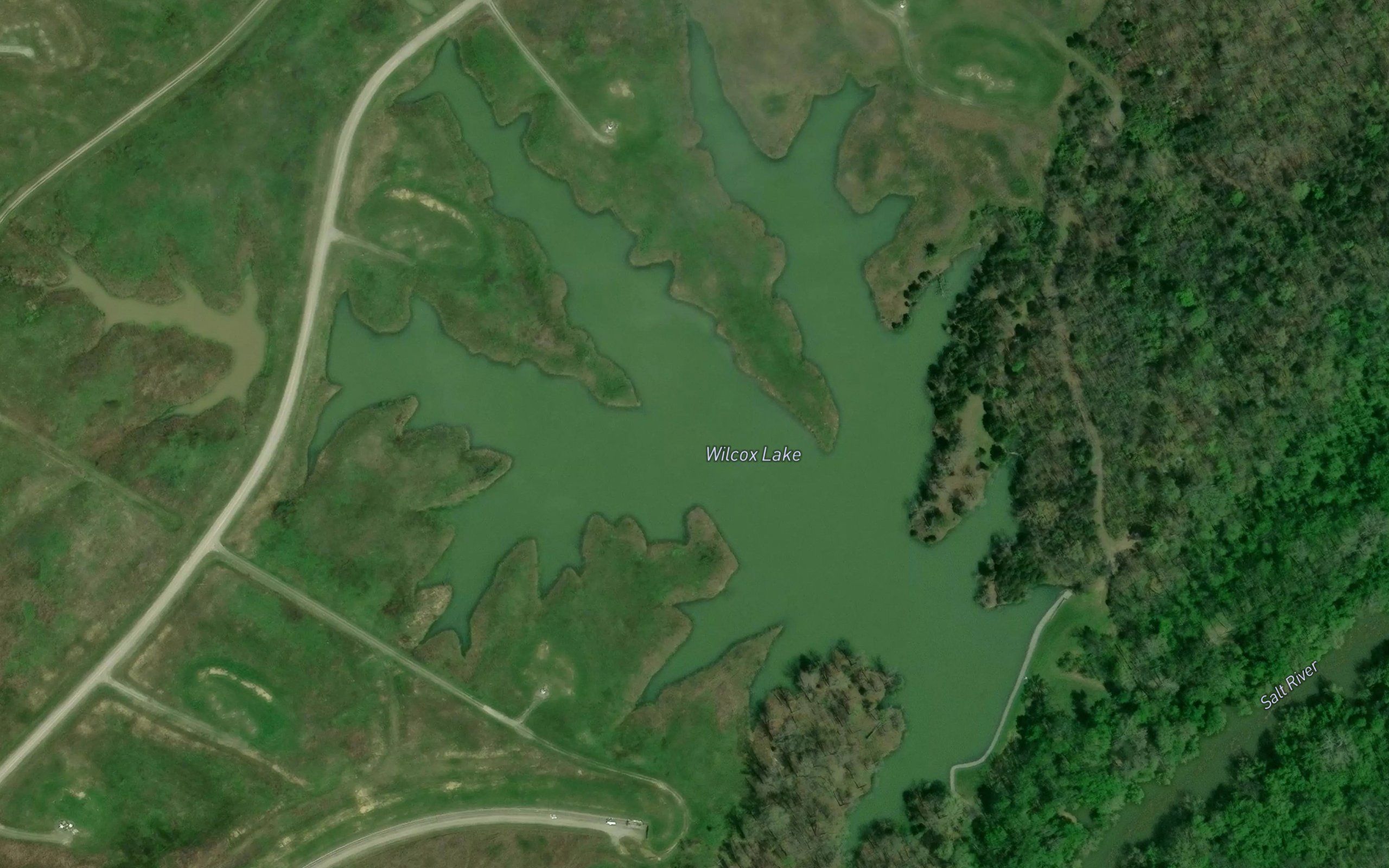 Wilcox Lake