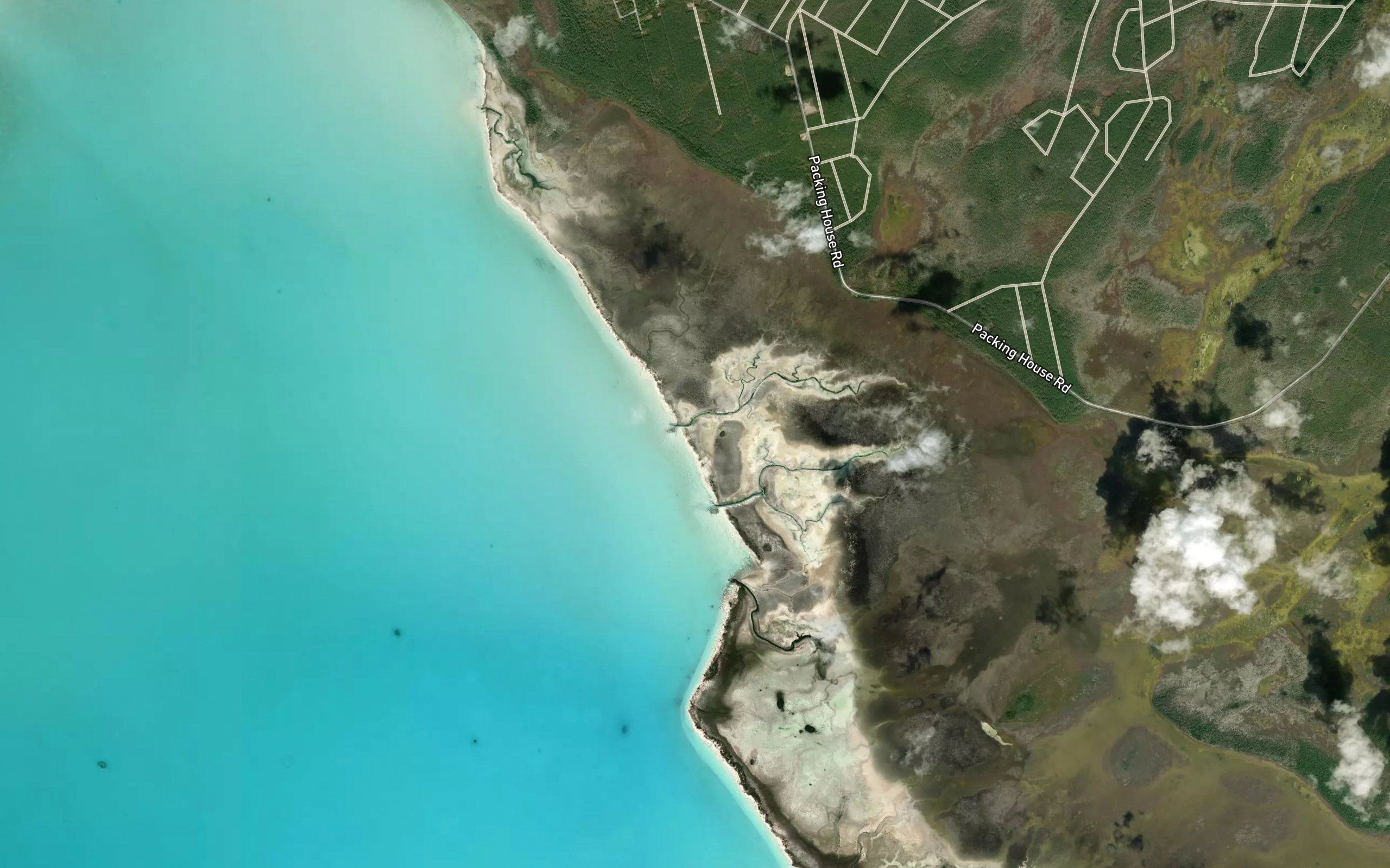 Loggerhead Creek