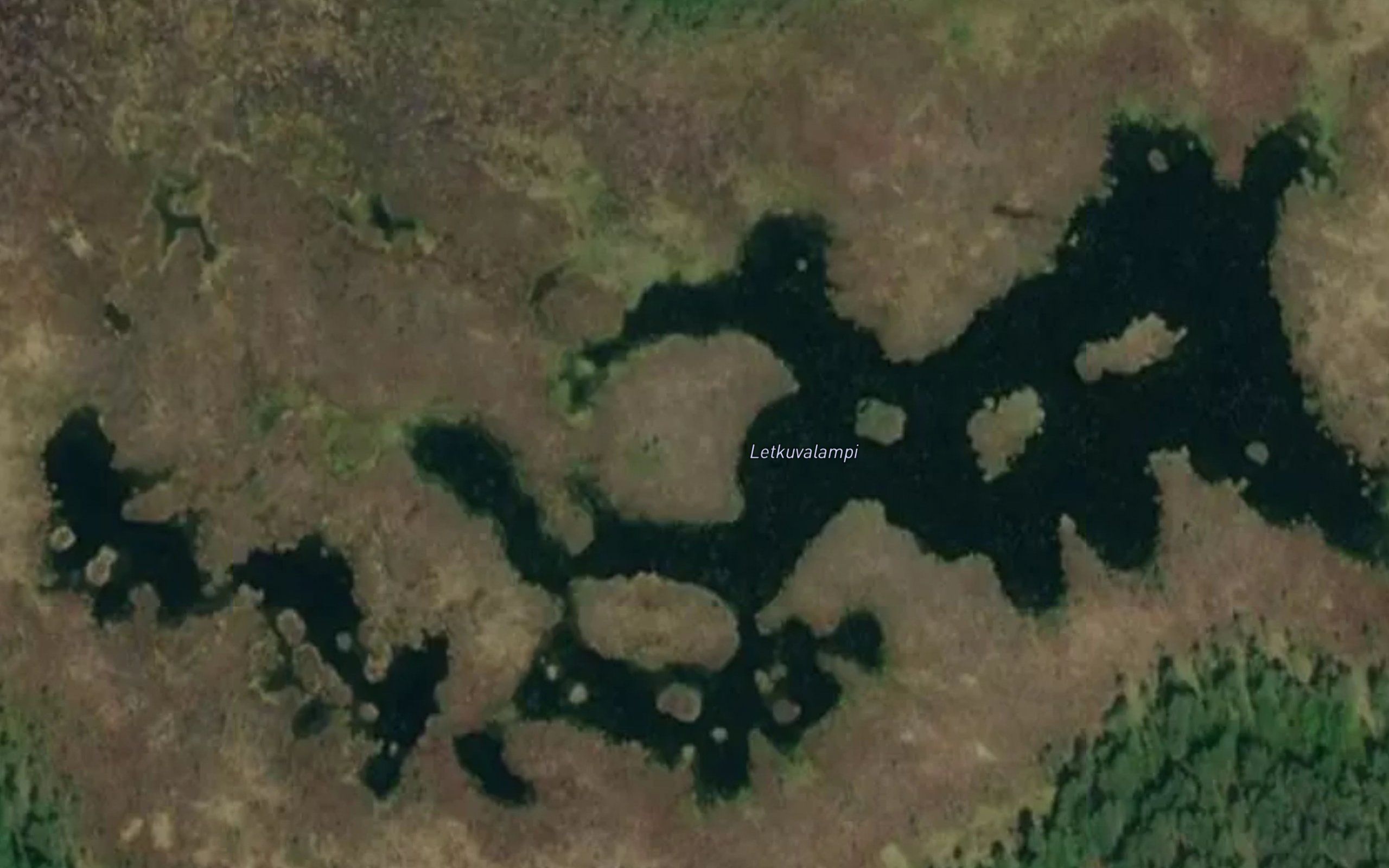 Letkuvalampi