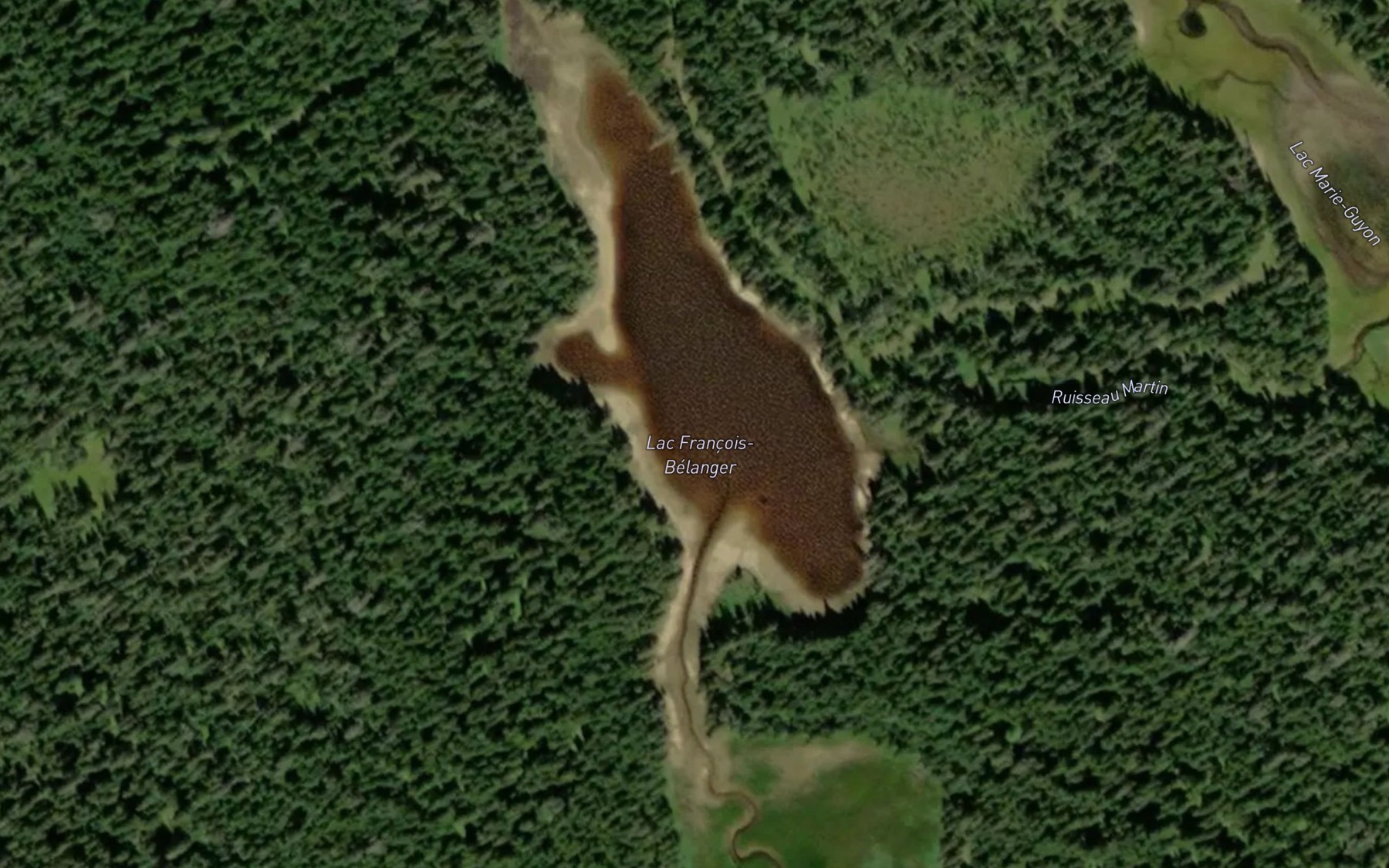 Satellite map of the Lac Francois-Belanger