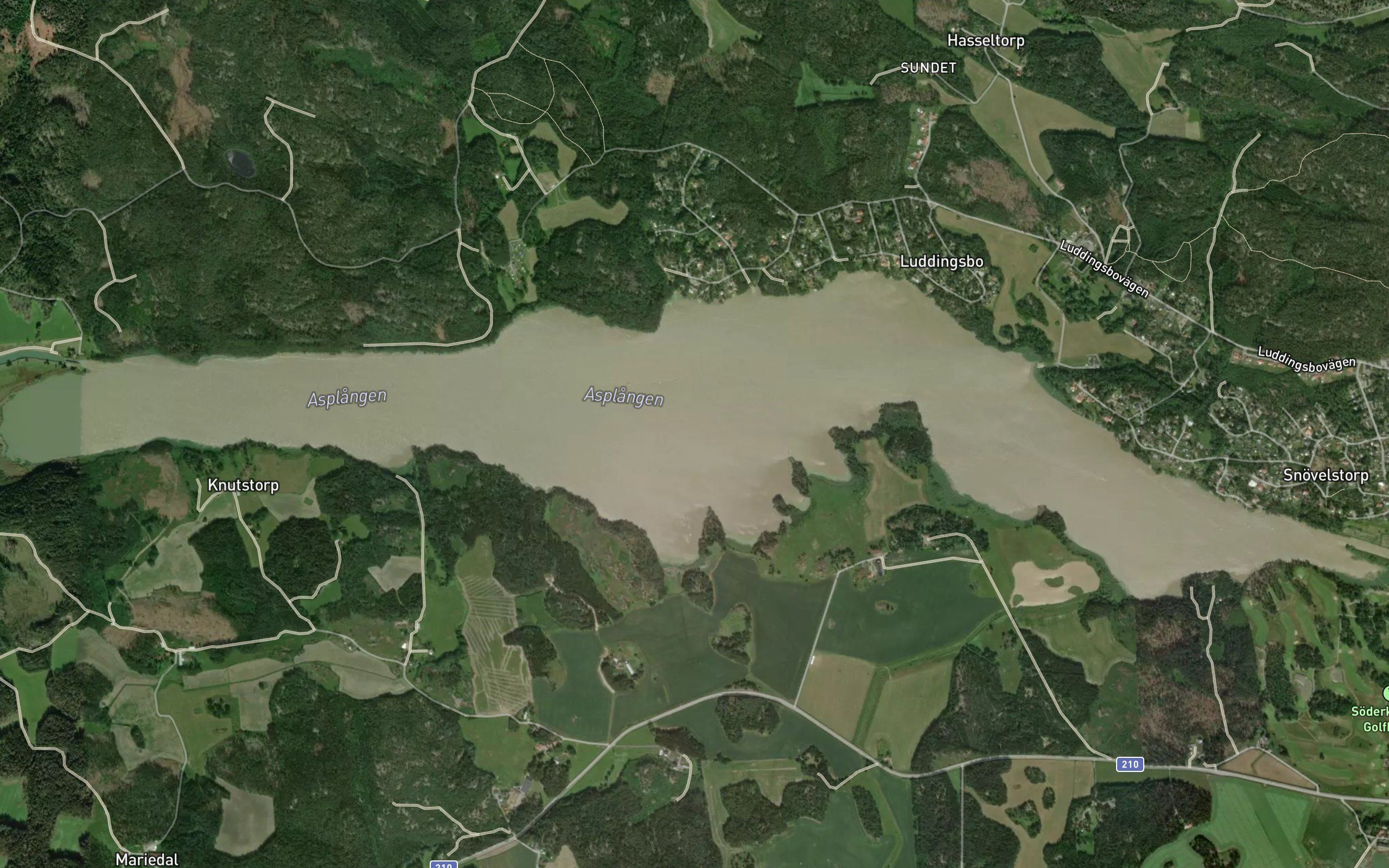 Asplangen